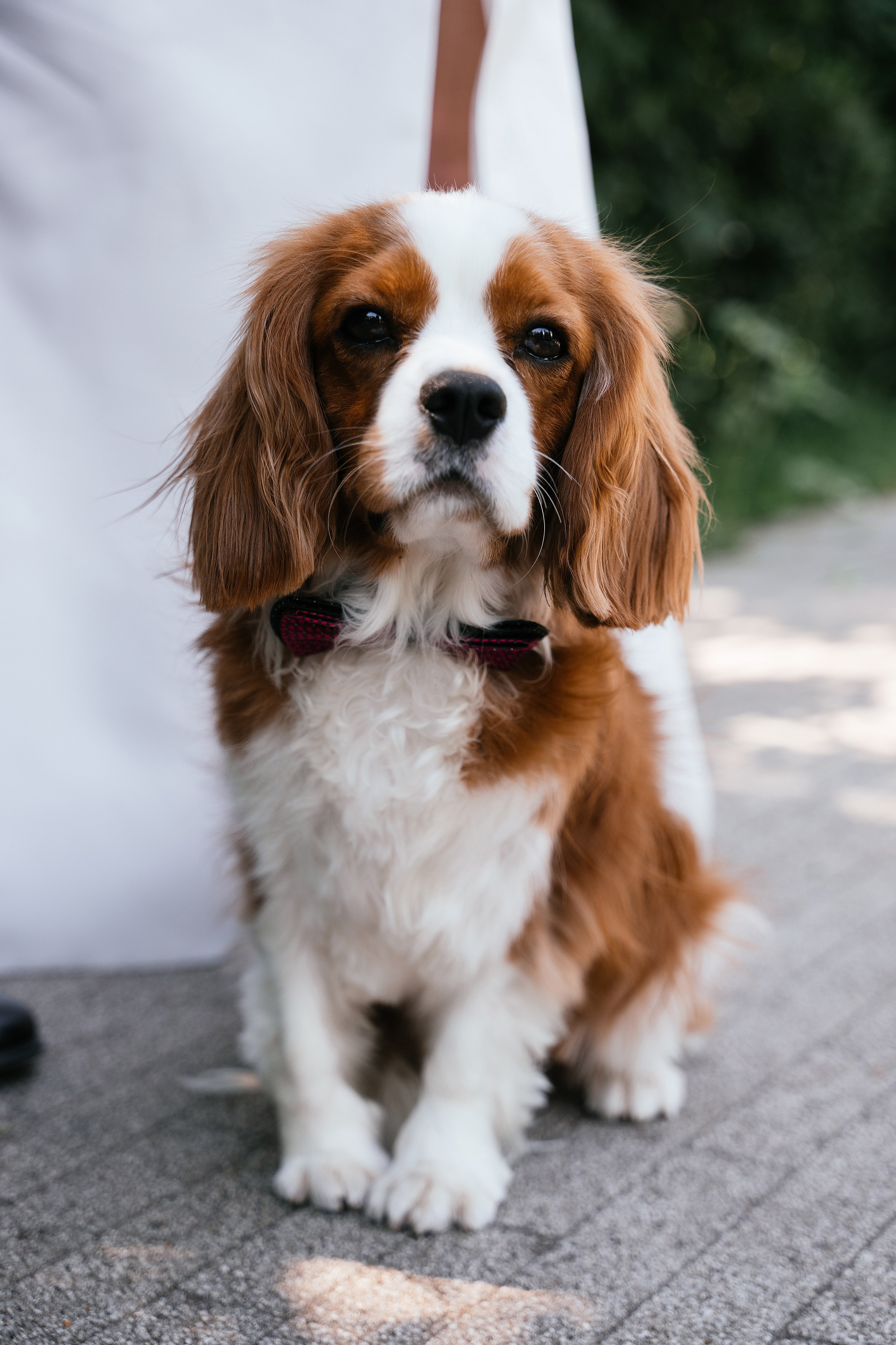 Wedding day #56. Свадебный, семейный фотограф в Рязани Лена Брант