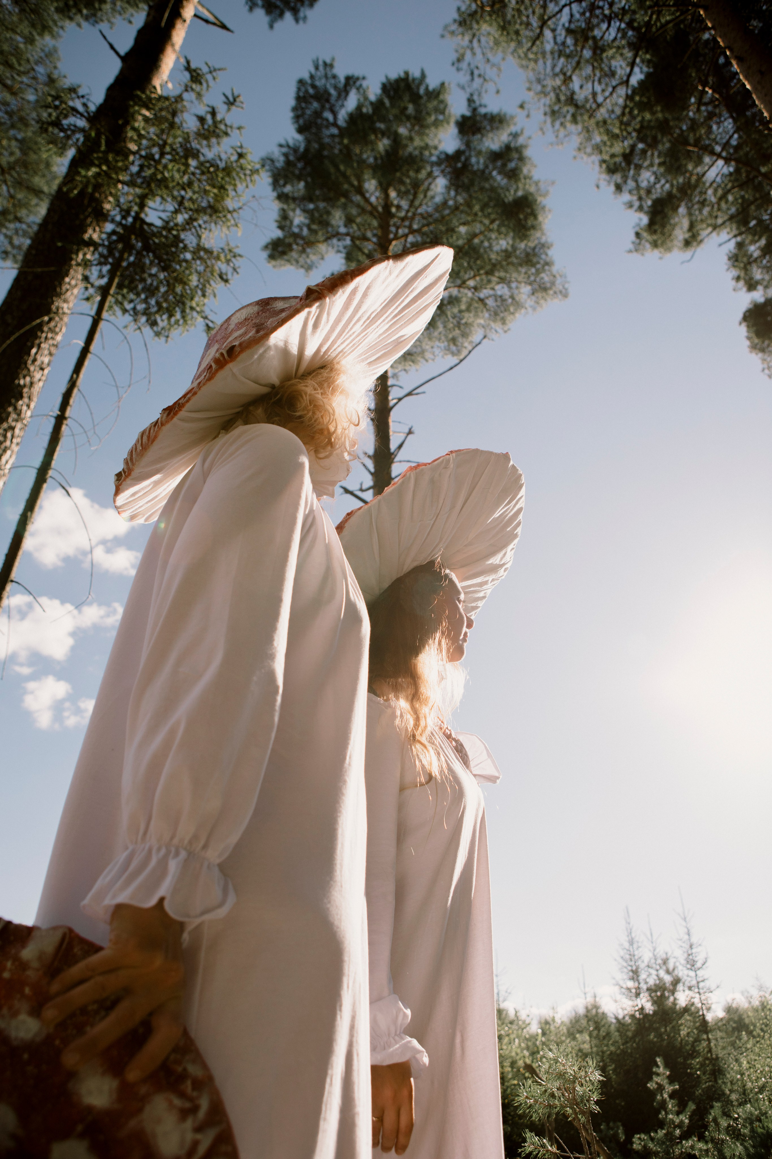 Грибы. Ольга Пилант. АРТ, бэкстейдж, свадебная и семейная фотография, городской портрет, интерьерная фотография