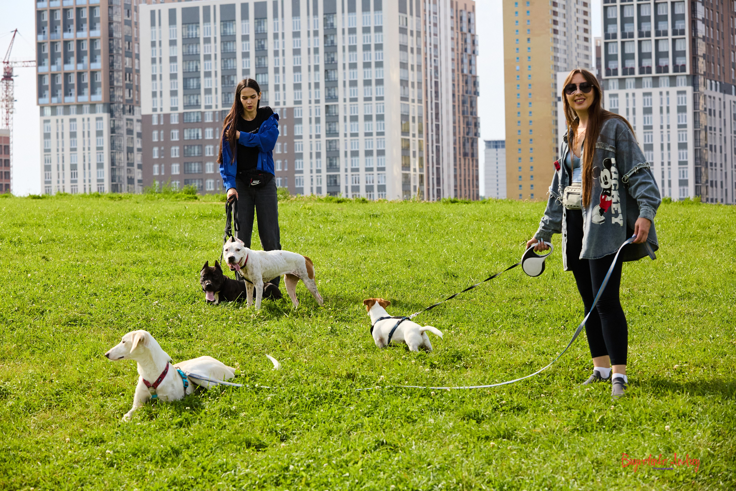 Проект фотопрогулка с хвостиком. Buyvolenko Andrey