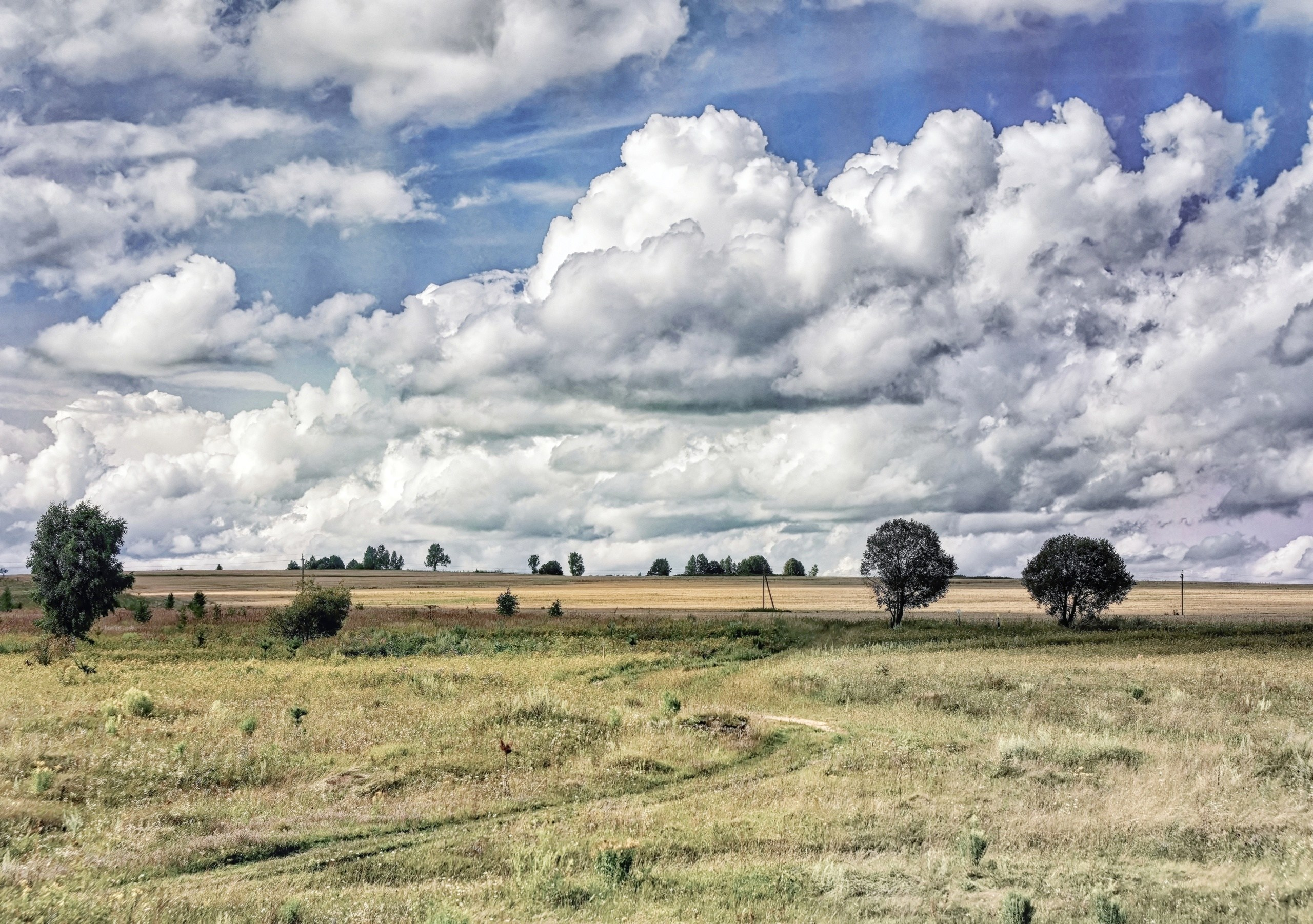 ПРИРОДА. Слепки времени. Фотографии природы и событий. Москва. Сергей Аллагулов