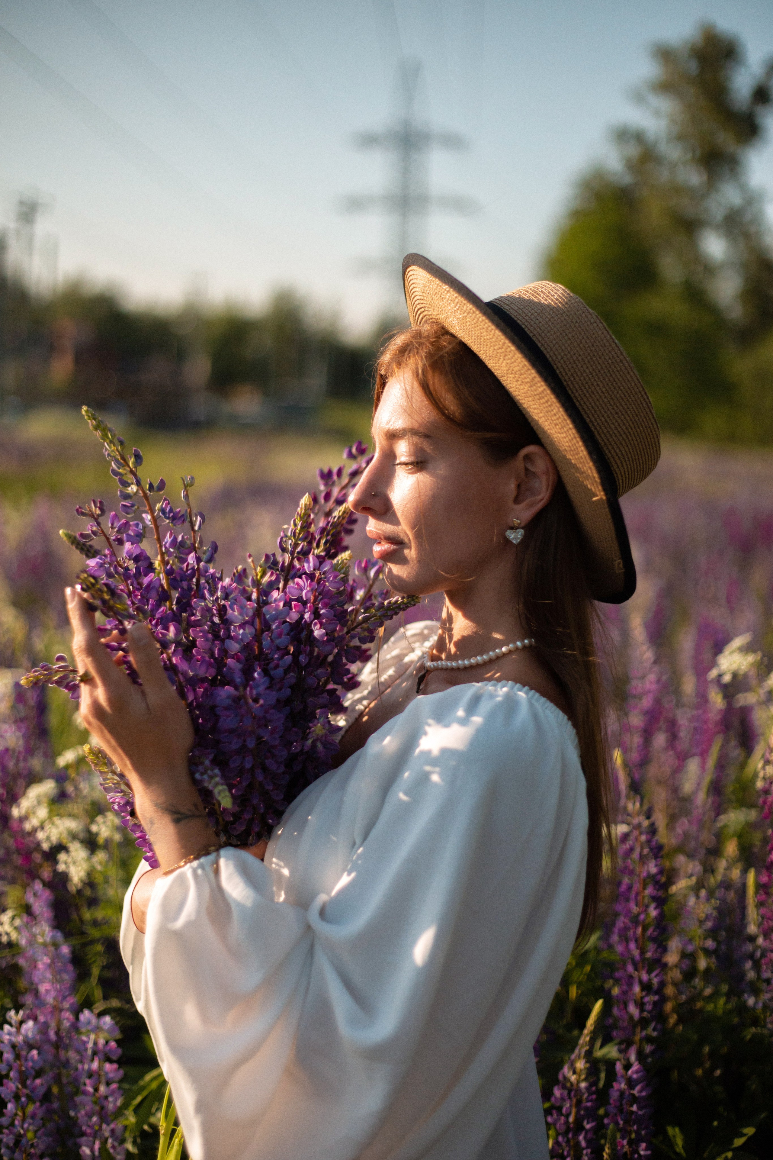 Люпины. Фотограф Москва / Балашиха