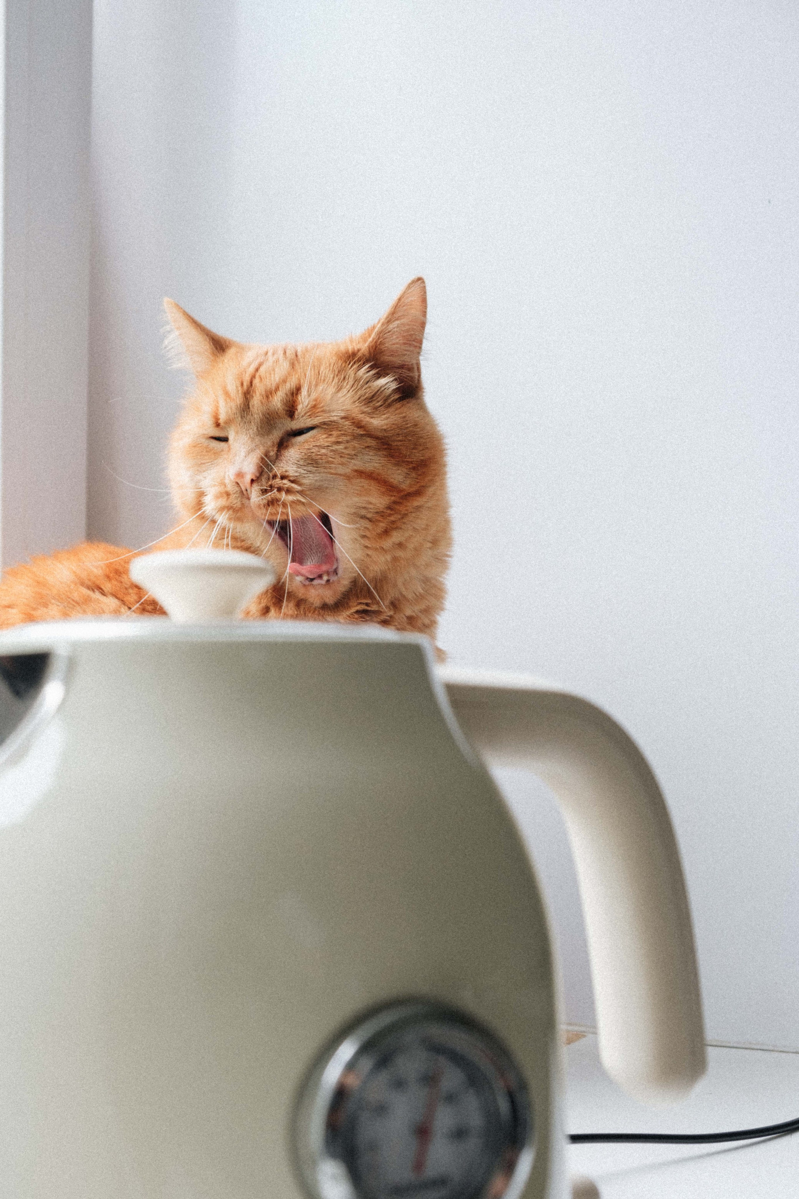 Замечательная повседневность. Контент-фотограф и видеограф в Перми