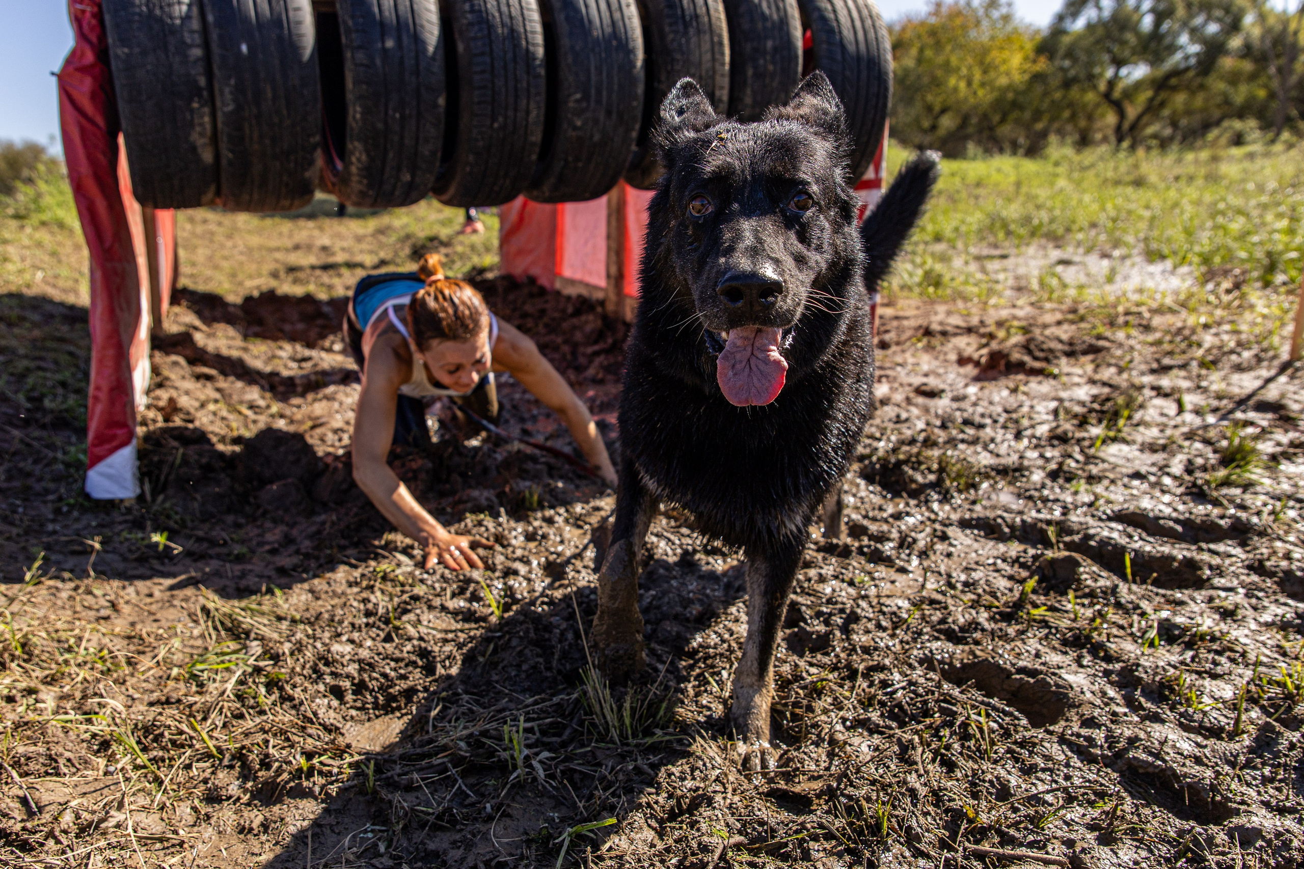 Dogtrail 2023. Уссурийск