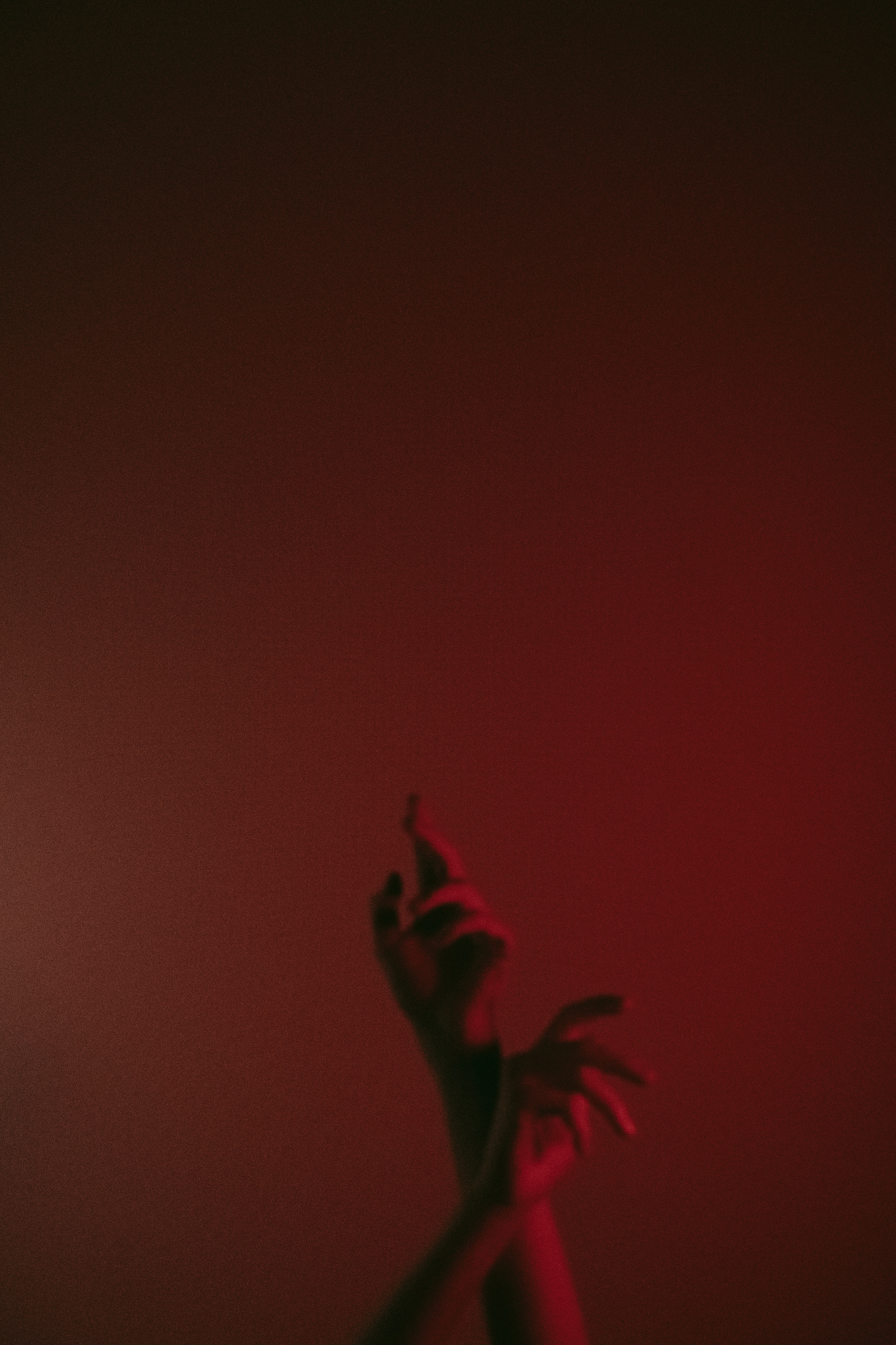 Toxic. Фотограф Валуйки, Белгородская область. Коробова Юля