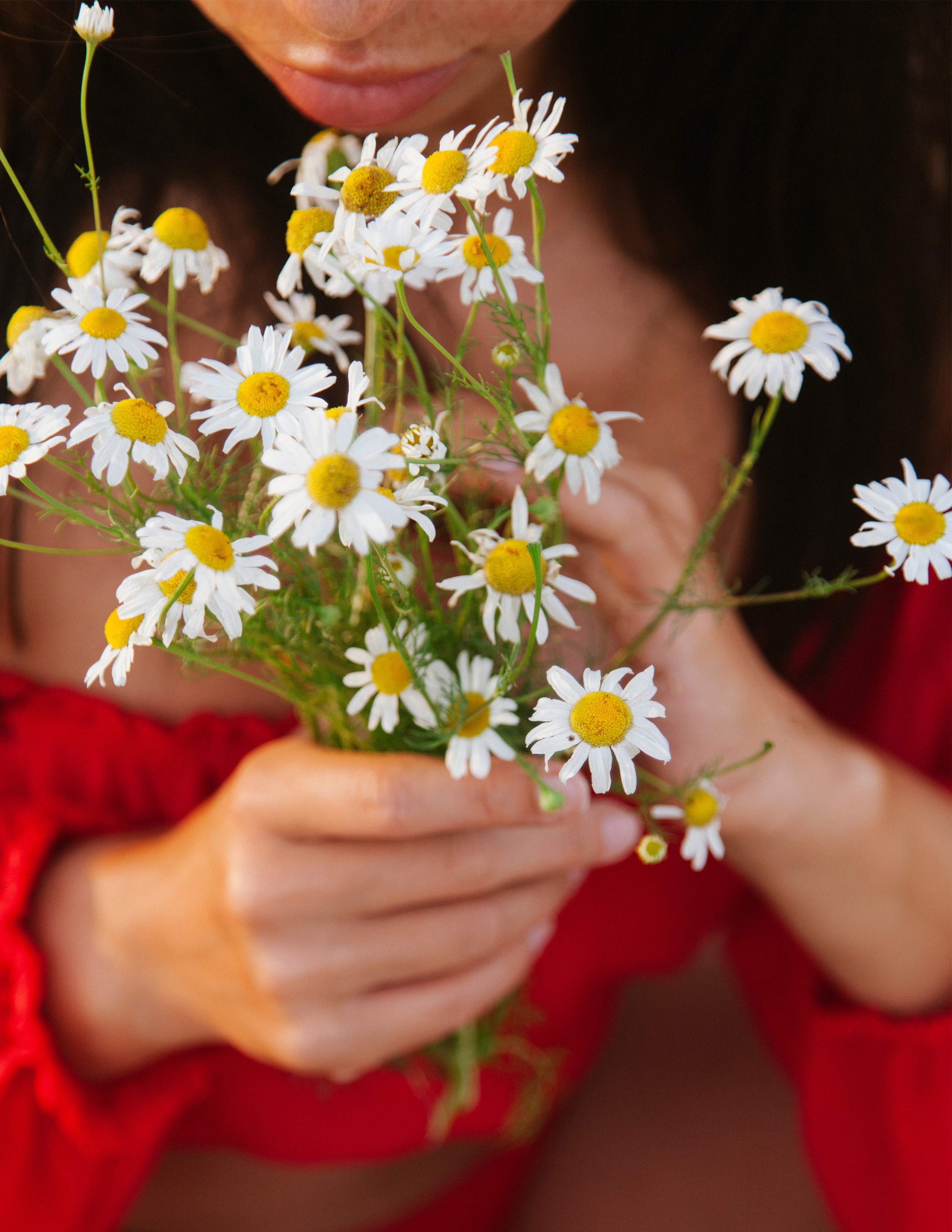 На заре. Фотограф Валуйки, Белгородская область. Коробова Юля
