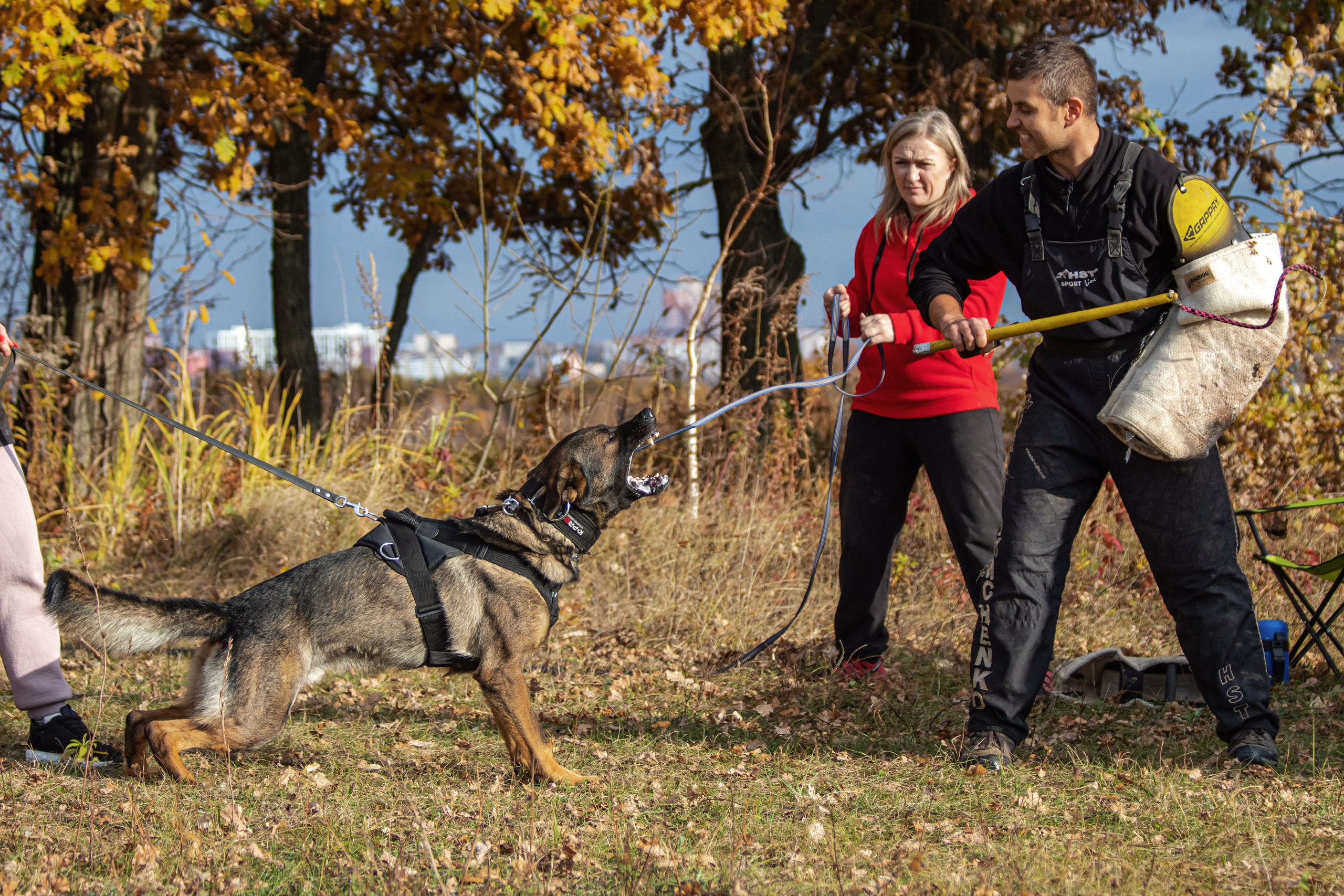Тренинг защитного раздела. Фотограф анималист — Тула, Москва