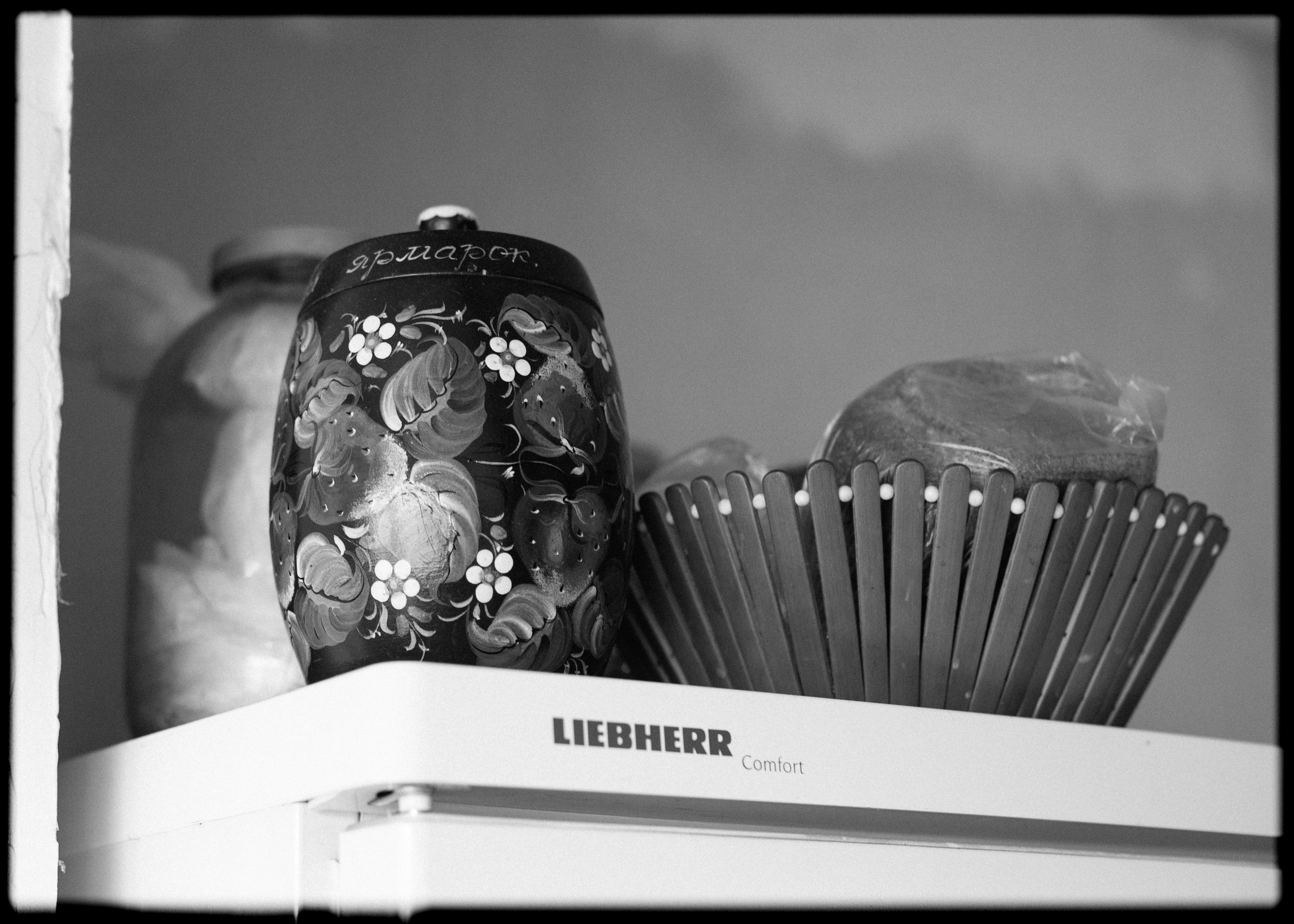 (YarOman) Жизнь в лесу. Фотография, как она есть