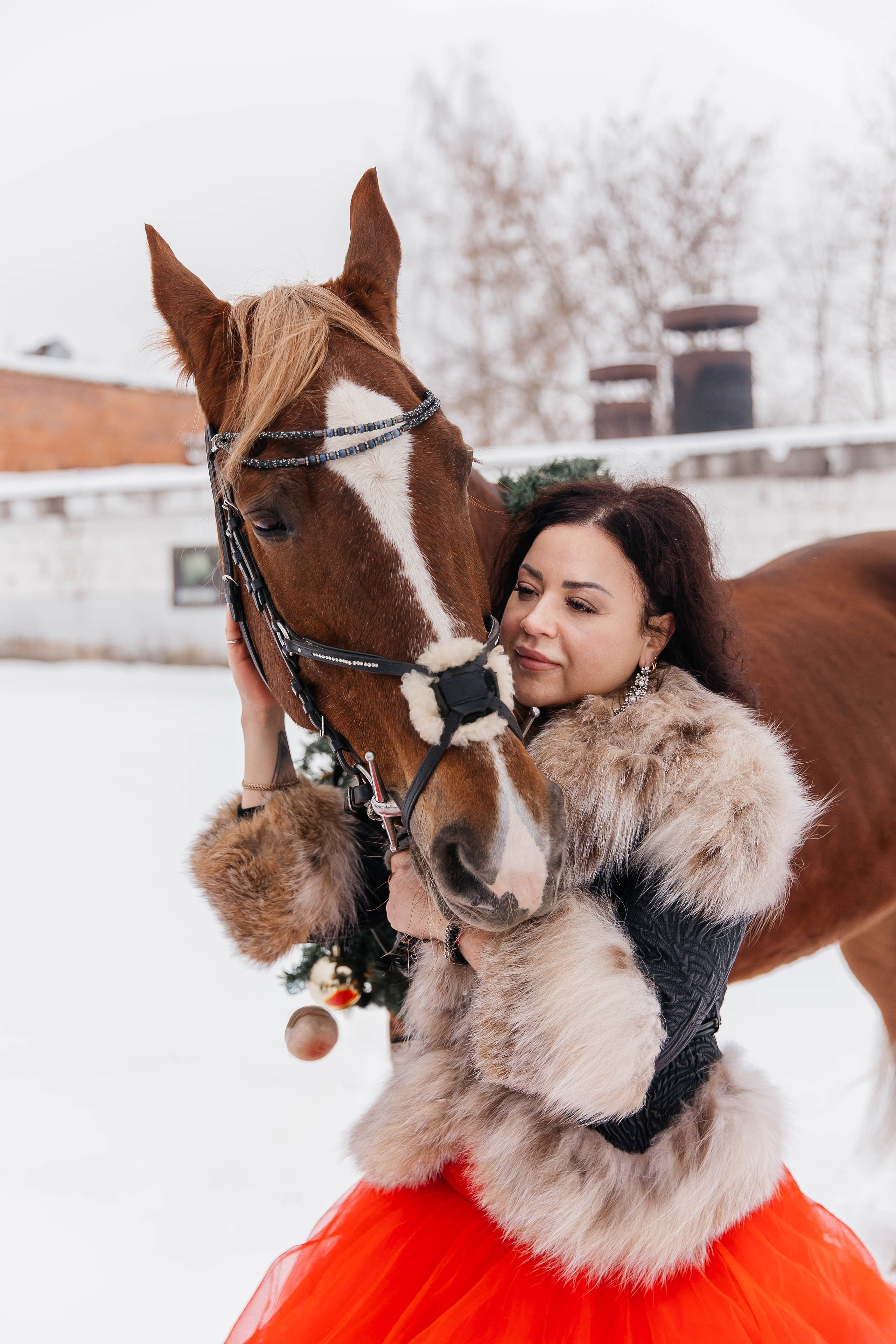 Лошади. Ваш фотограф в Москве и области Юлия