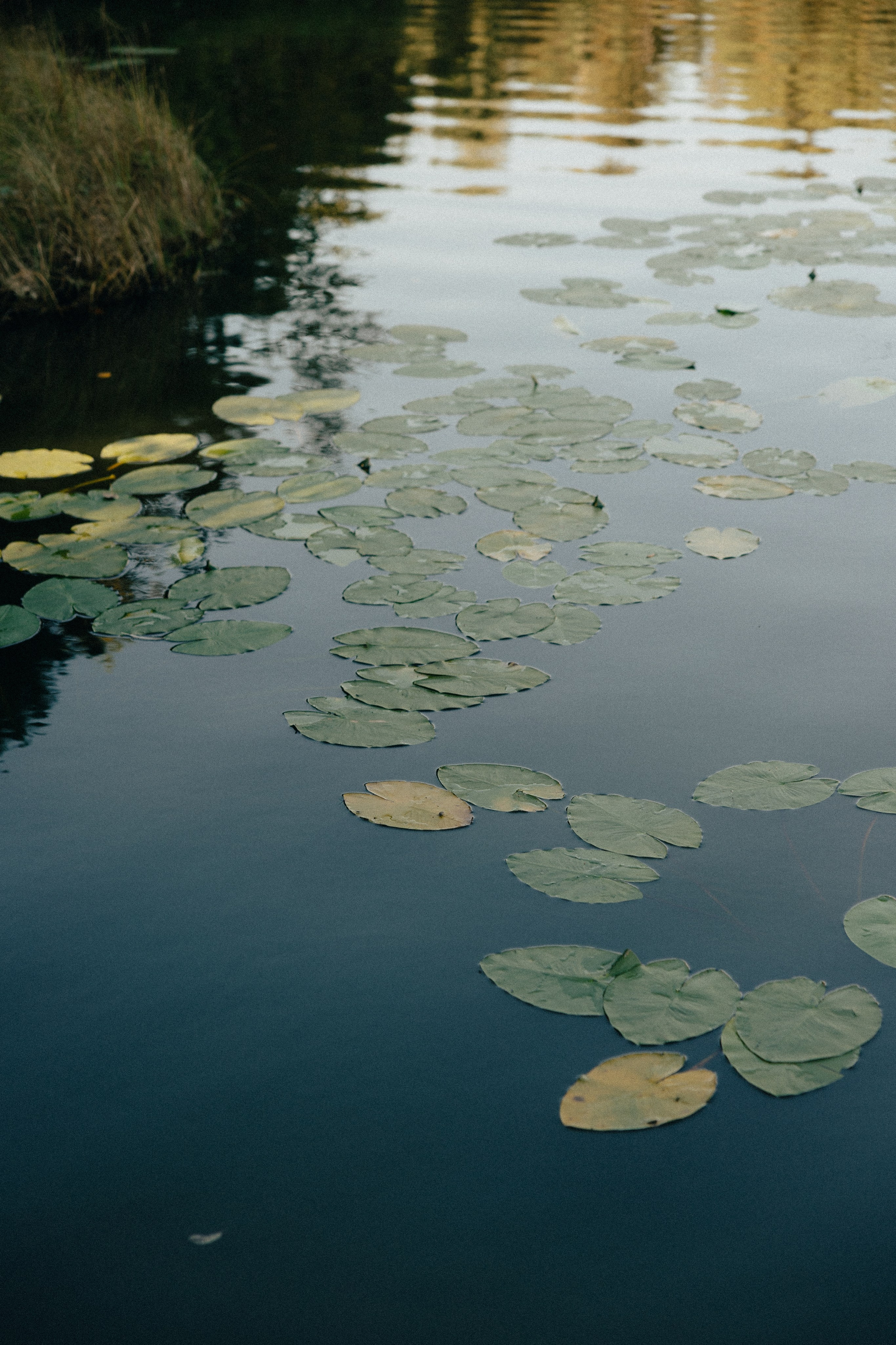 Я с тобой, ты со мной, и нет нас отдельно — Сплин