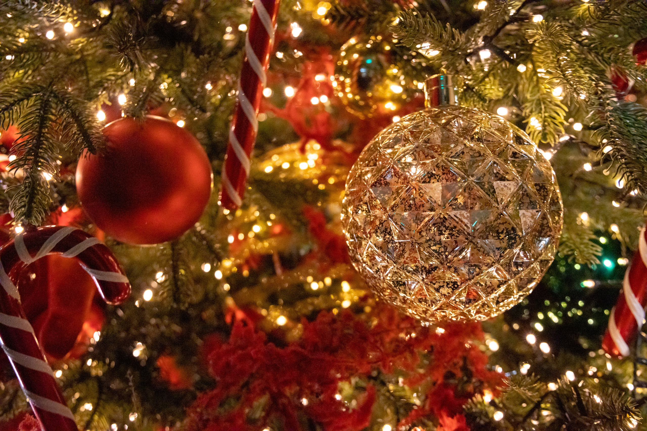 New Year. Фотограф, видеограф, креативный продюсер Ольга Полынкова