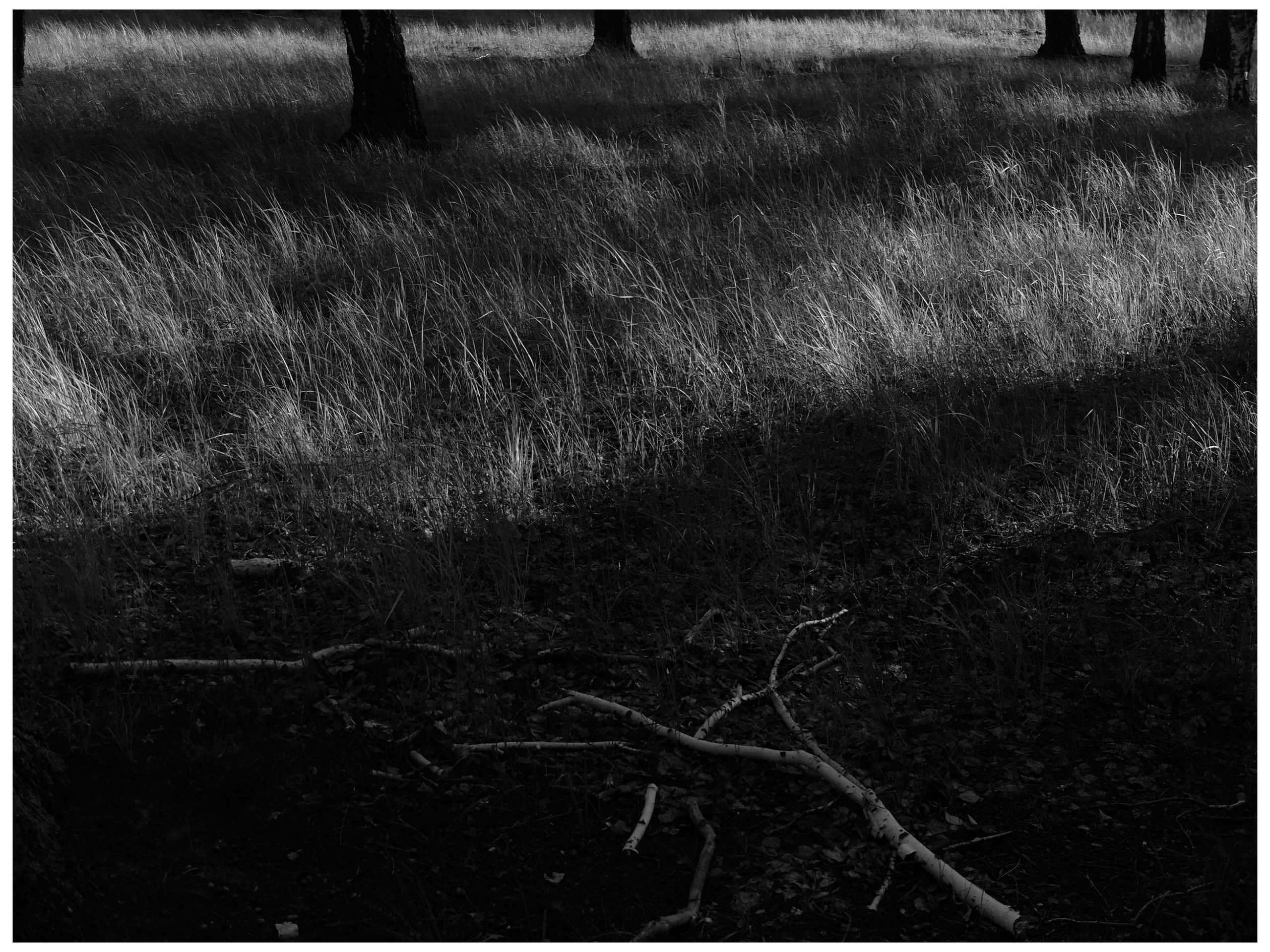 Промежуточные моменты (2022)