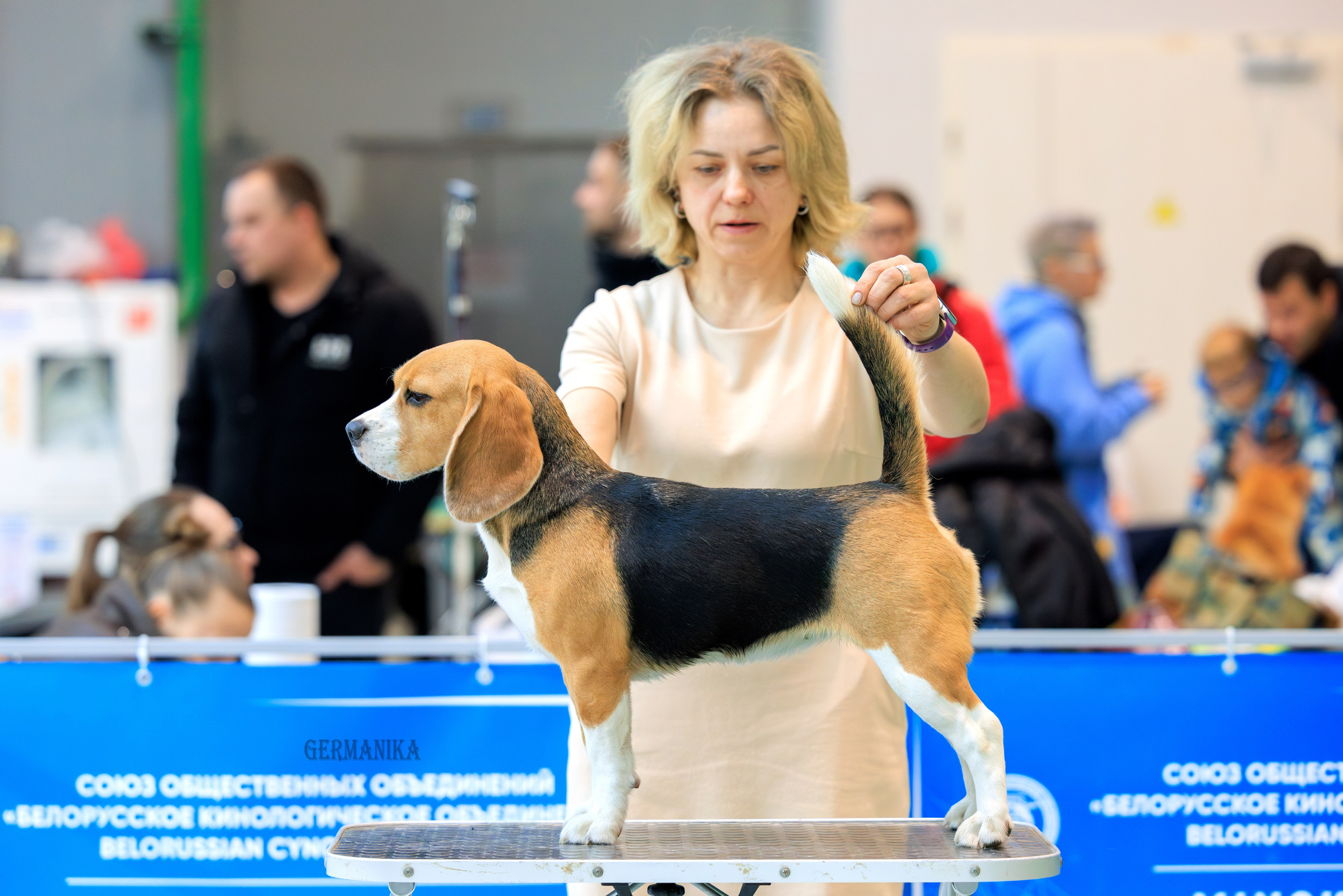 Минск 24-25.02.2024. Фотограф-анималист Юлия Германика