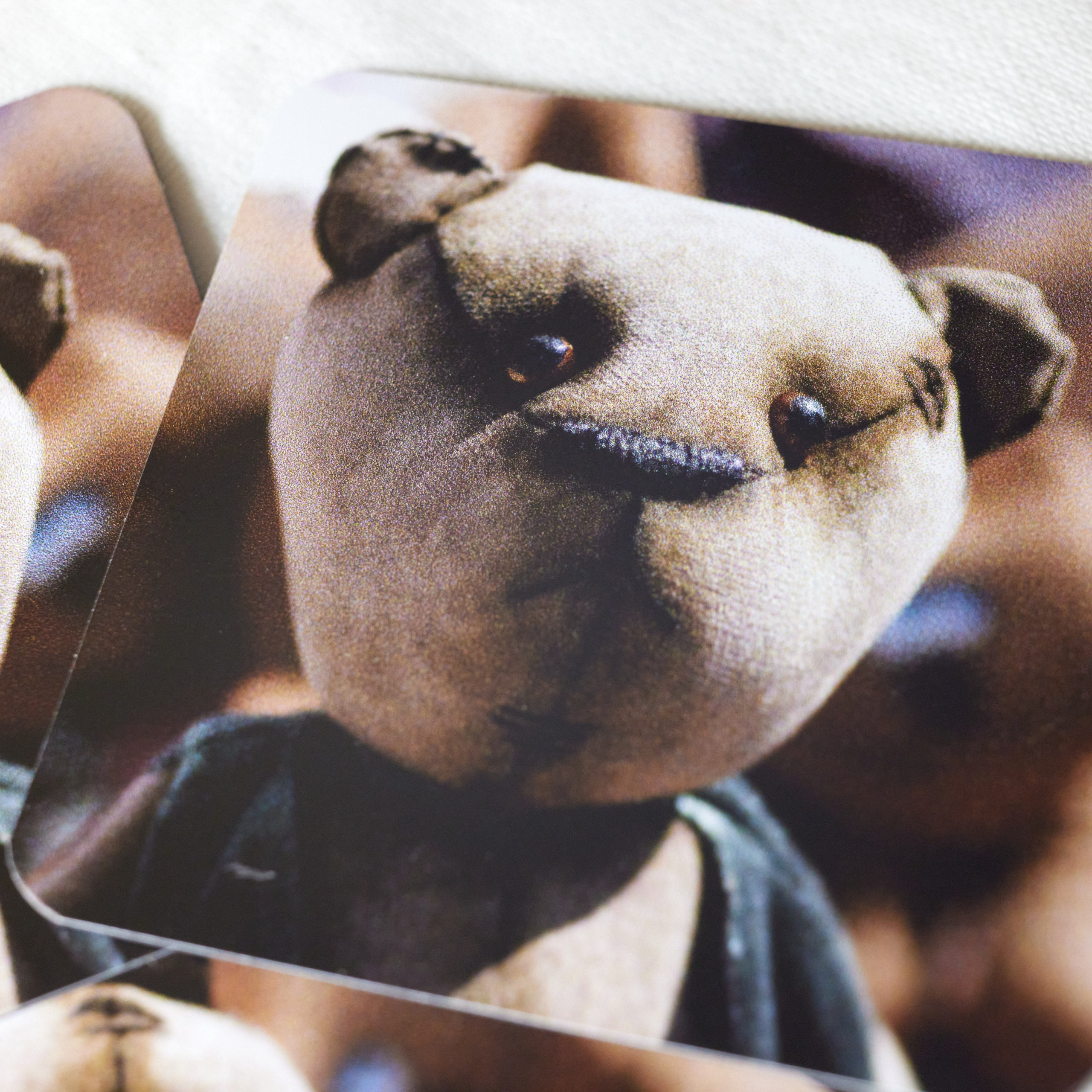 Виниловый магнит. Имидж Технологии — Производство сувенирных магнитов, заливных этикеток и значков. Репортажная фотография в Кирове Кировской области