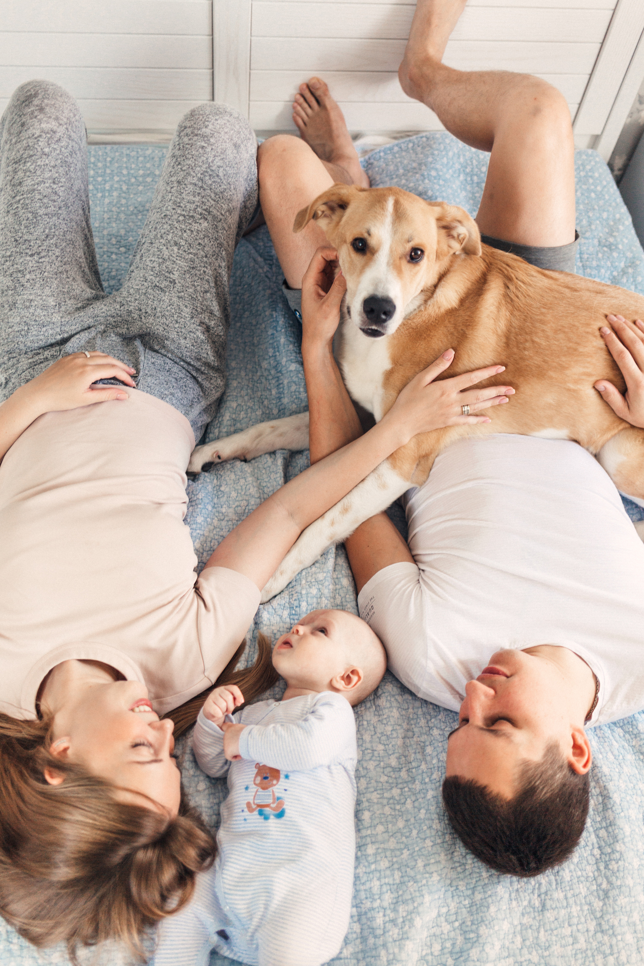 Домашняя семейная фотосессия в Москве, Домодедово, Видное, Бутово, Щербинка. Семейный фотограф Москва и Московская область. Семейная фотосессия на природе. Фотосессия детского праздника. Фотосессия юбилея. Фотосессия в день рождения. Фотограф на годик ребенку. Детский фотограф. Фоторепортаж семейного праздника. Детский фотограф Москва.