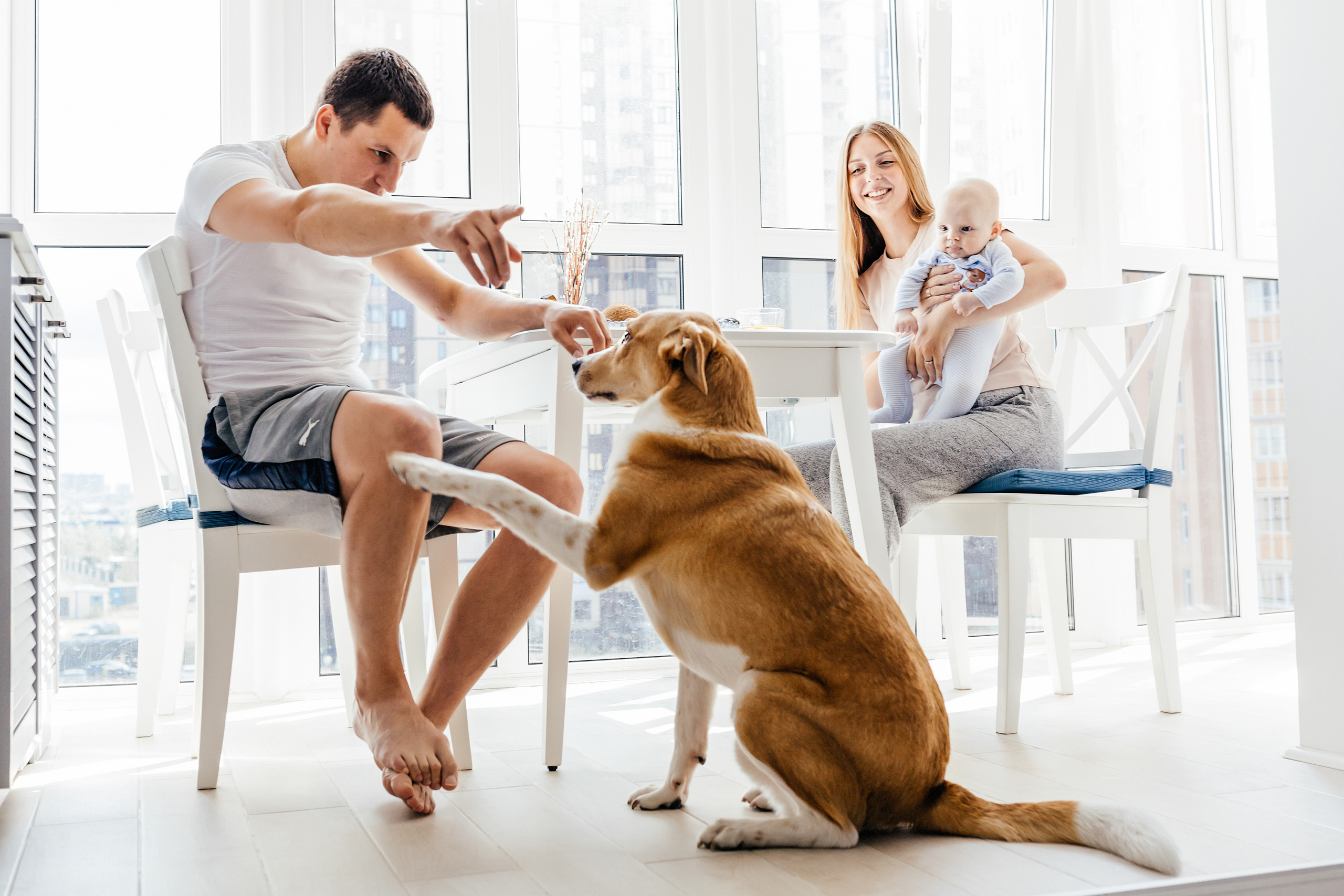 Домашняя семейная фотосессия в Москве, Домодедово, Видное, Бутово, Щербинка. Семейный фотограф Москва и Московская область. Семейная фотосессия на природе. Фотосессия детского праздника. Фотосессия юбилея. Фотосессия в день рождения. Фотограф на годик ребенку. Детский фотограф. Фоторепортаж семейного праздника. Детский фотограф Москва.