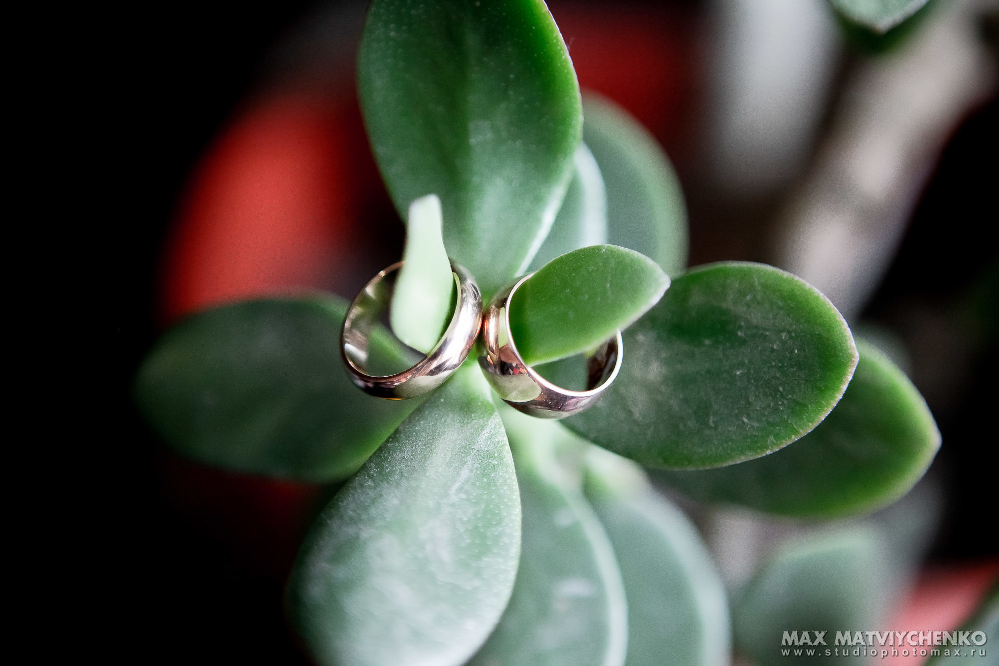 Свадебный фотограф в Ростове-на-Дону. Свадебная фотография в Ростове-н. Максим Матвийченко и Виктория Басова профессионалы своего дела