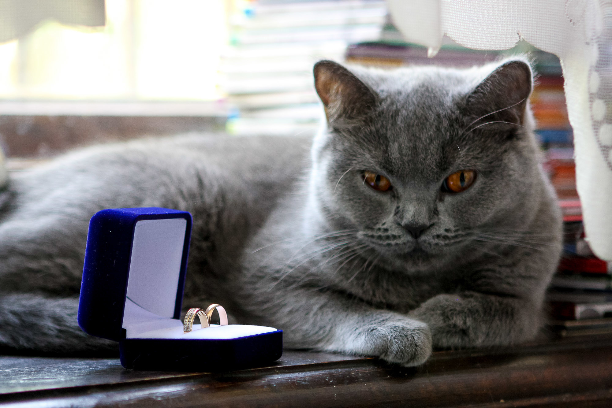 Свадебный фотограф в Ростове-на-Дону. Свадебная фотография в Ростове-н. Максим Матвийченко и Виктория Басова профессионалы своего дела