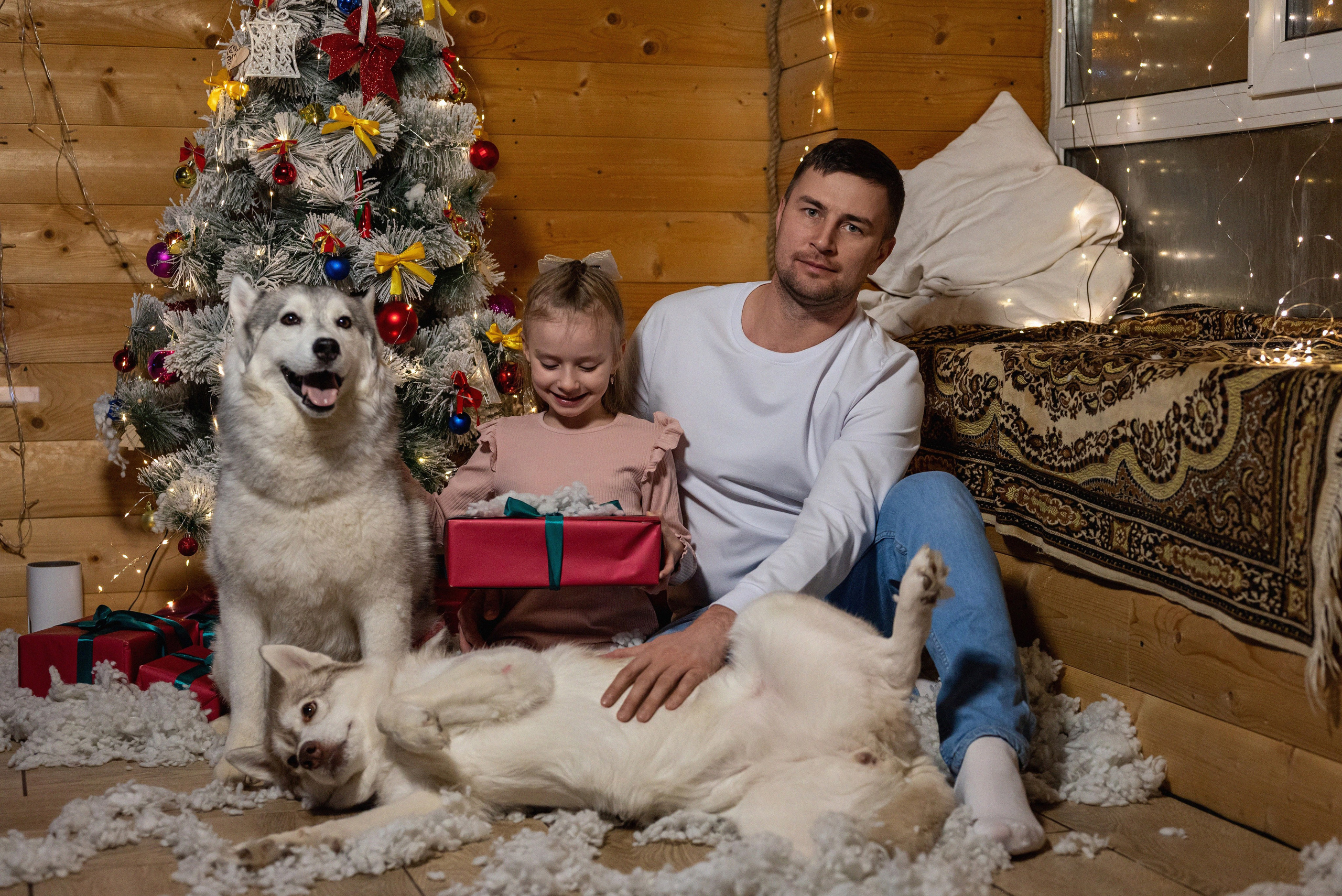 Фотопроект с хаски 2024 г. Фотограф в городе Салават