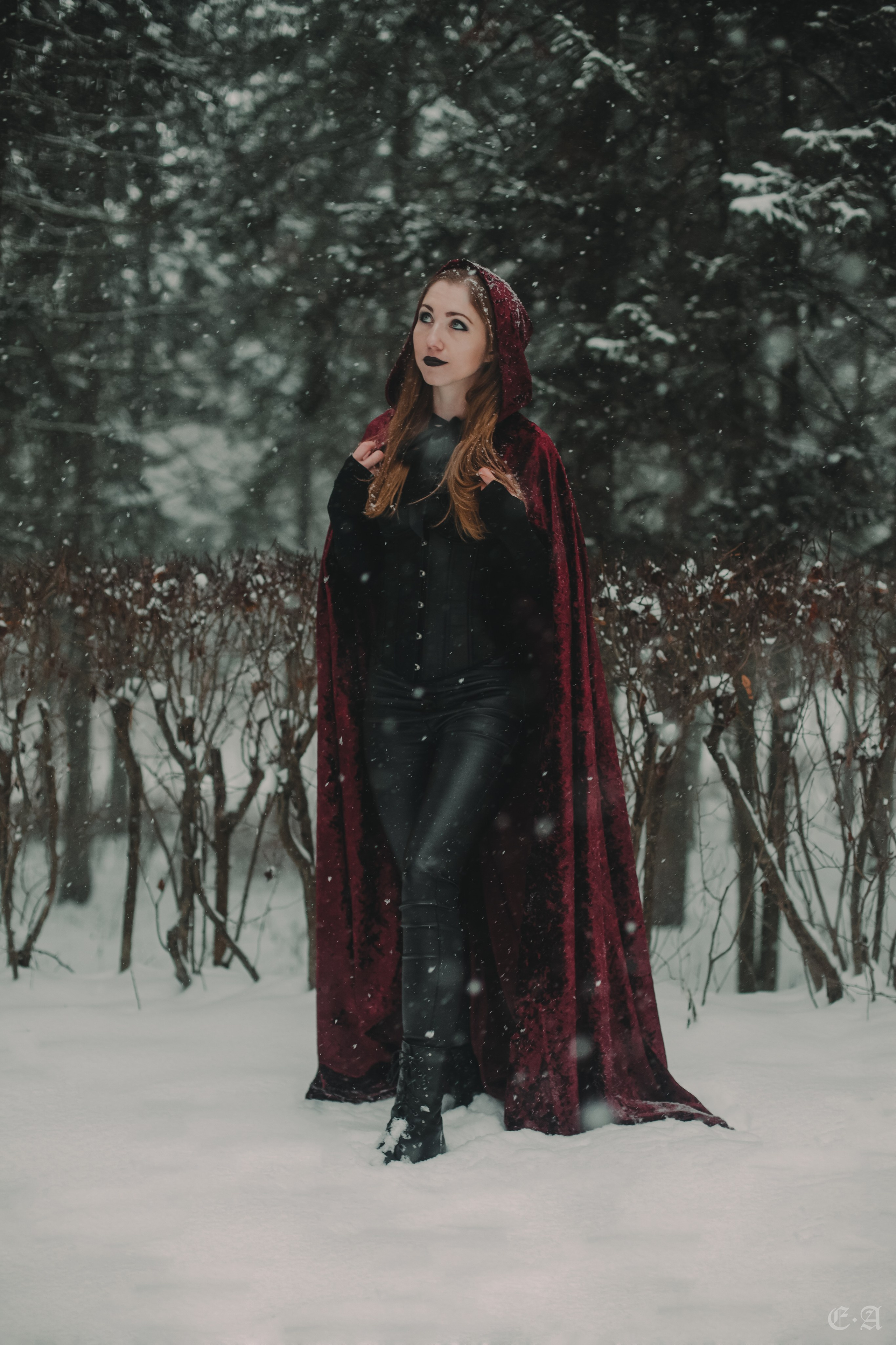 Зимняя сказка для Witch Light. Фотограф Ellairen