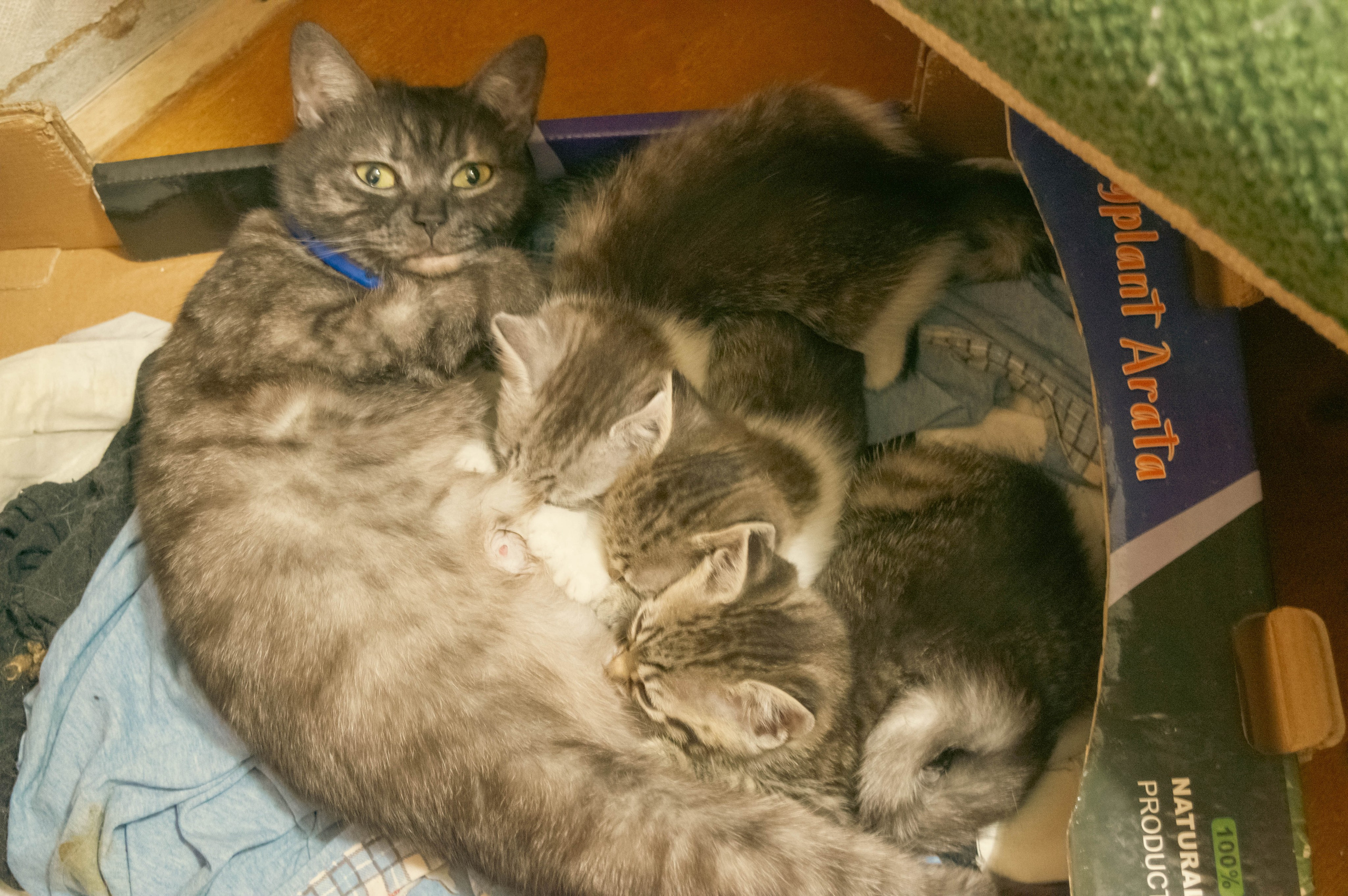 Внутри. Фотограф Анастасия Лощакова в Москве