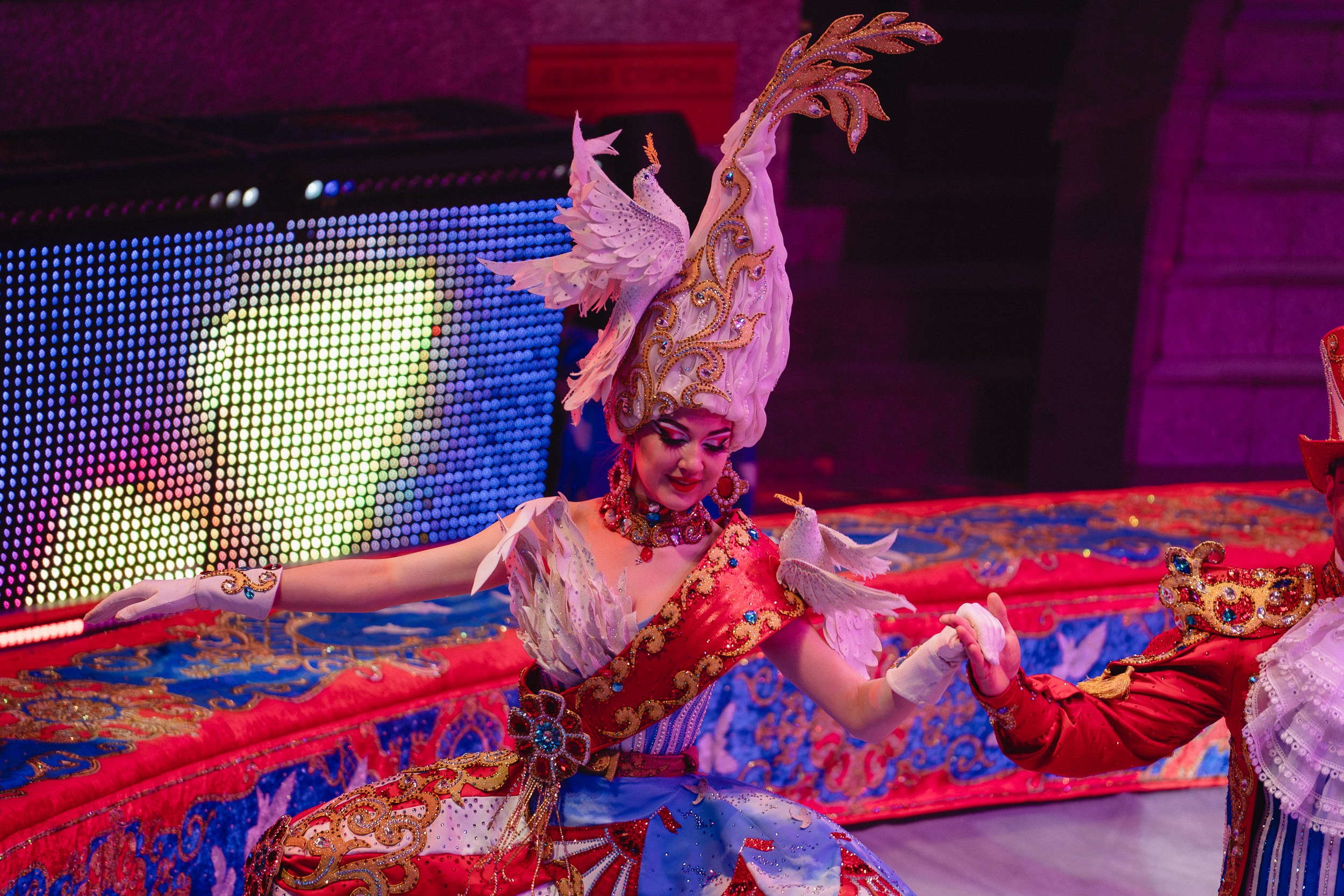 5 Континентов — Пресс-показ в Новосибирском Цирке. Воробьева Ксения — Спортивный и танцевальный фотограф Новосибирск