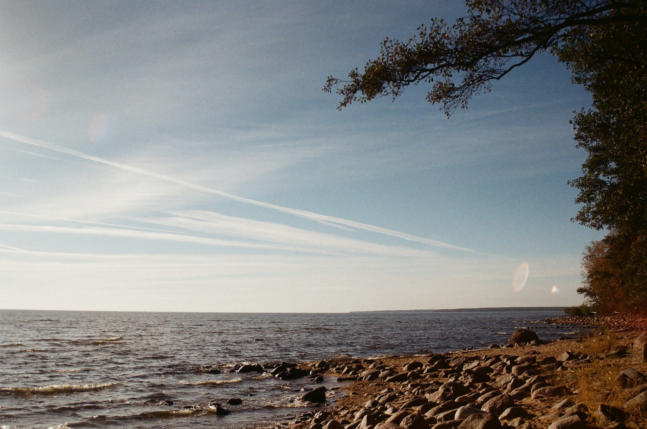 Из наблюдений. Плак или Квак