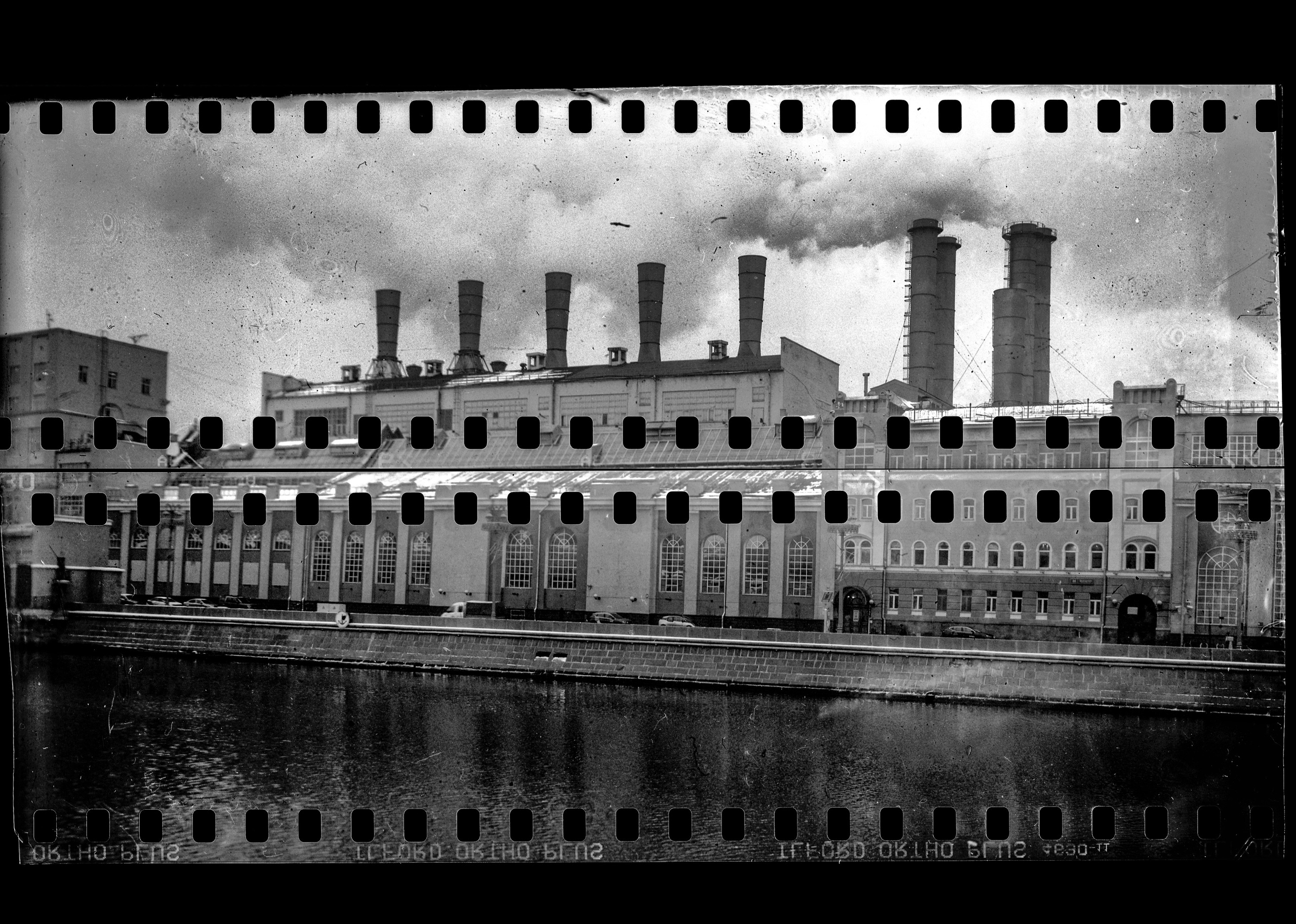 Ilford Ortho