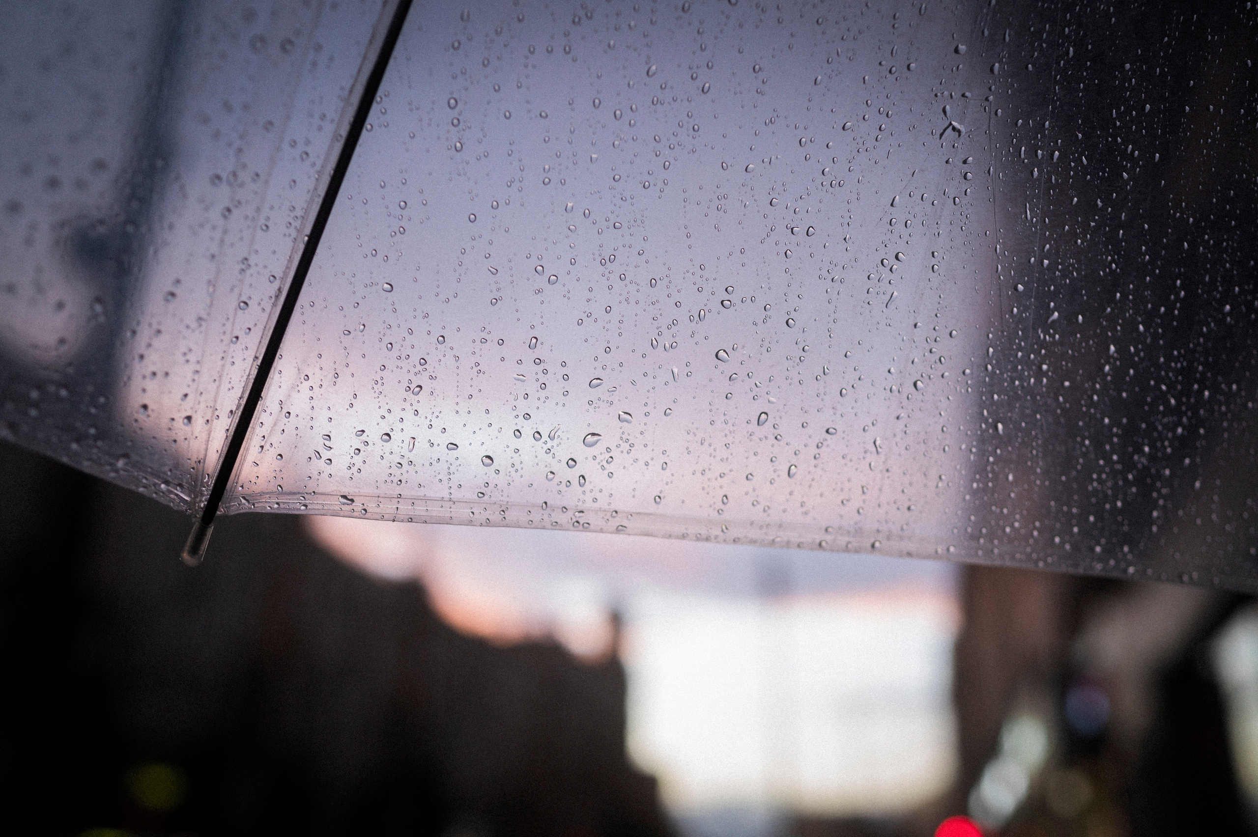 Random, 1. Kartascheff