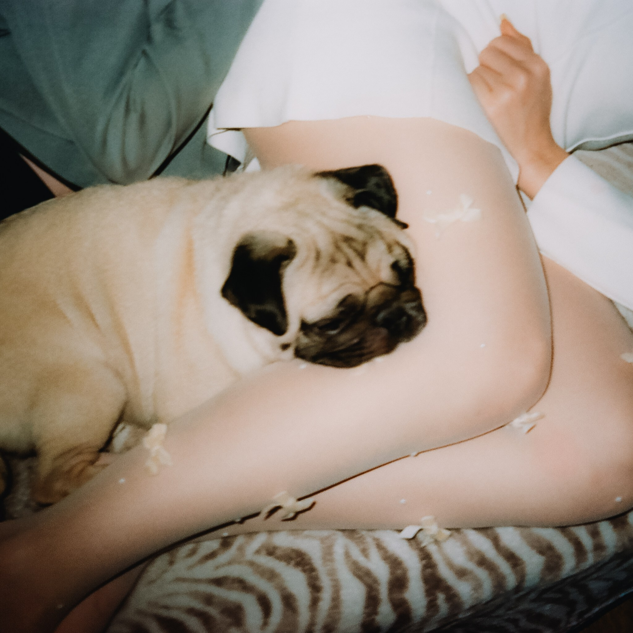 Love. VISUAL ARTIST · KRONGAUZ ANASTASIA