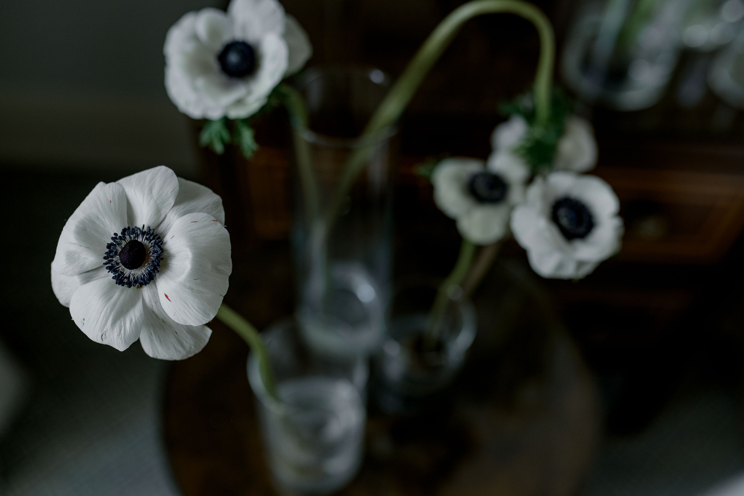 Анна и Иван. Анна Чугунова