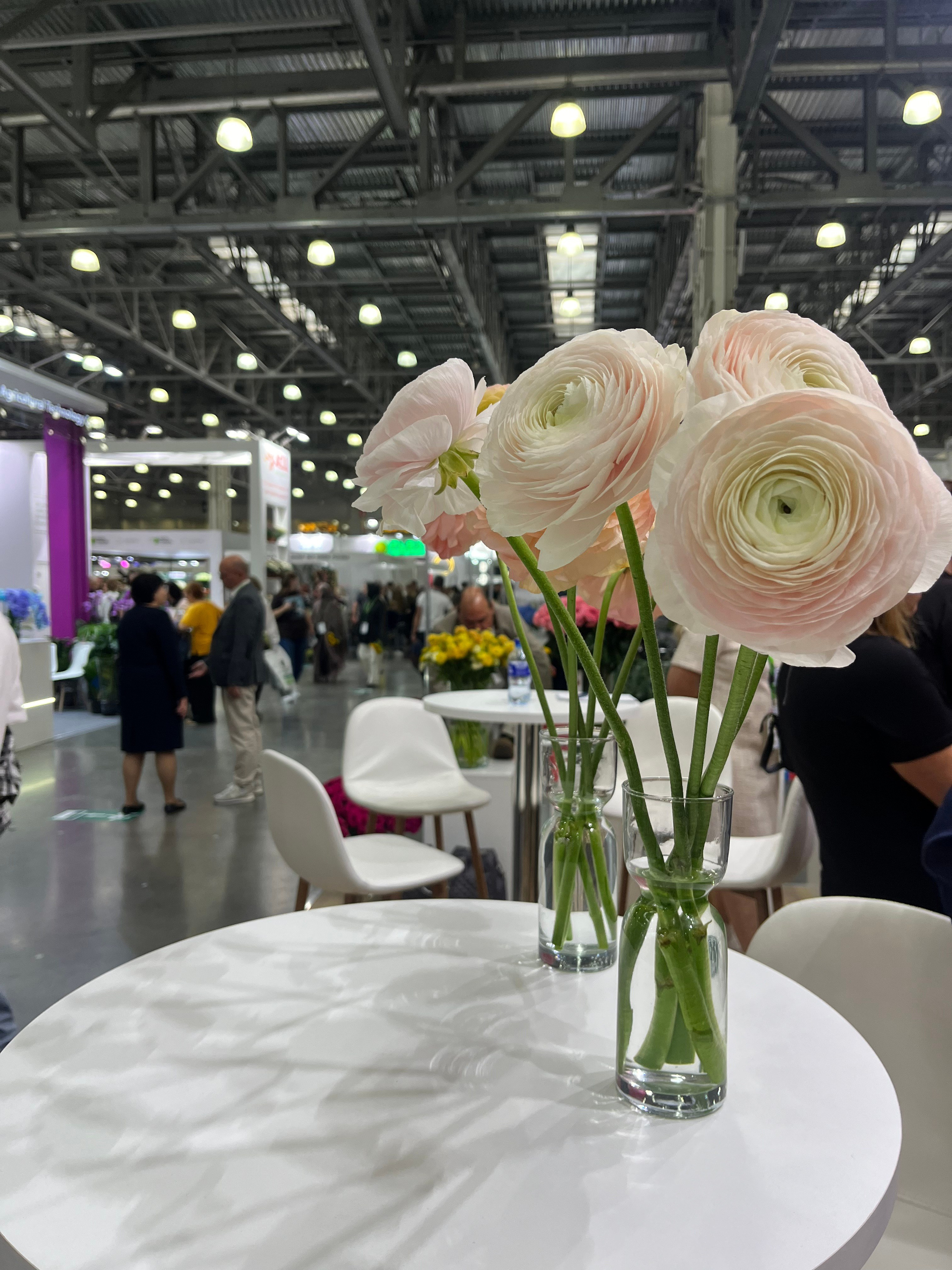 ЛЮБИМЫЕ ЦВЕТЫ