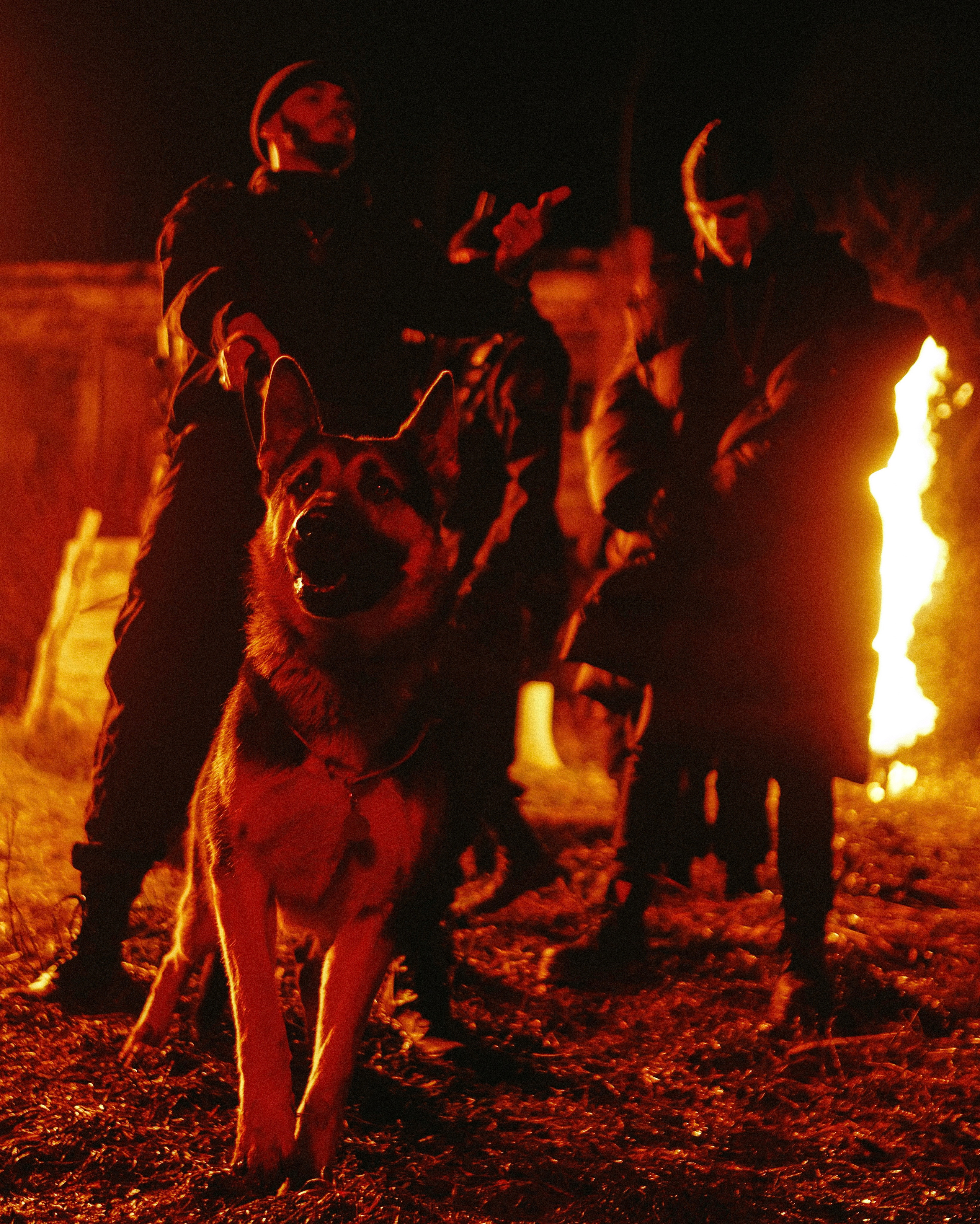 ТВОРЧЕСТВО. ALEXANDR NOVIKOV