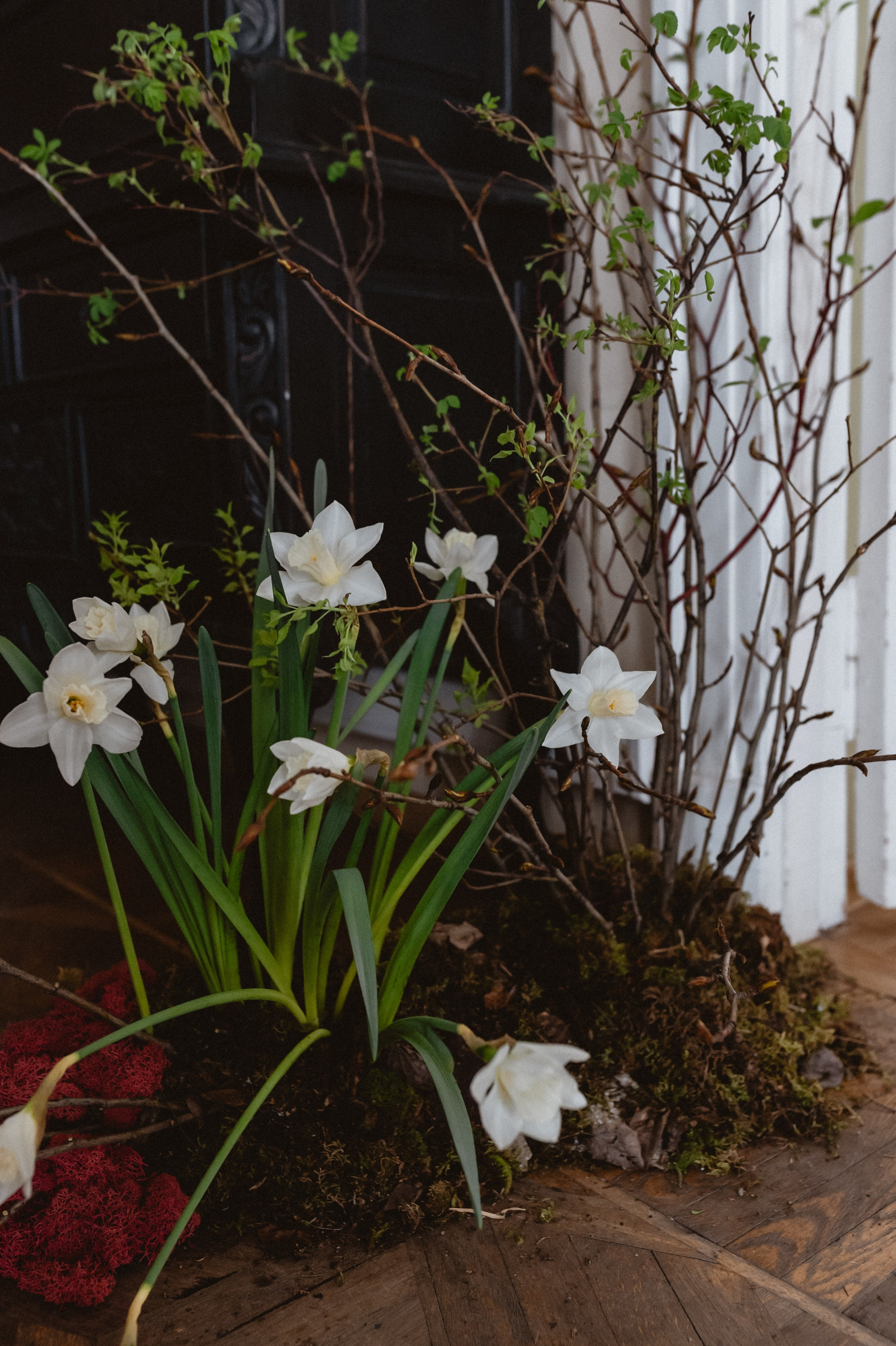 Эрнест & Аня. Оформление свадеб, декор свадеб Вера Маркова, Москва