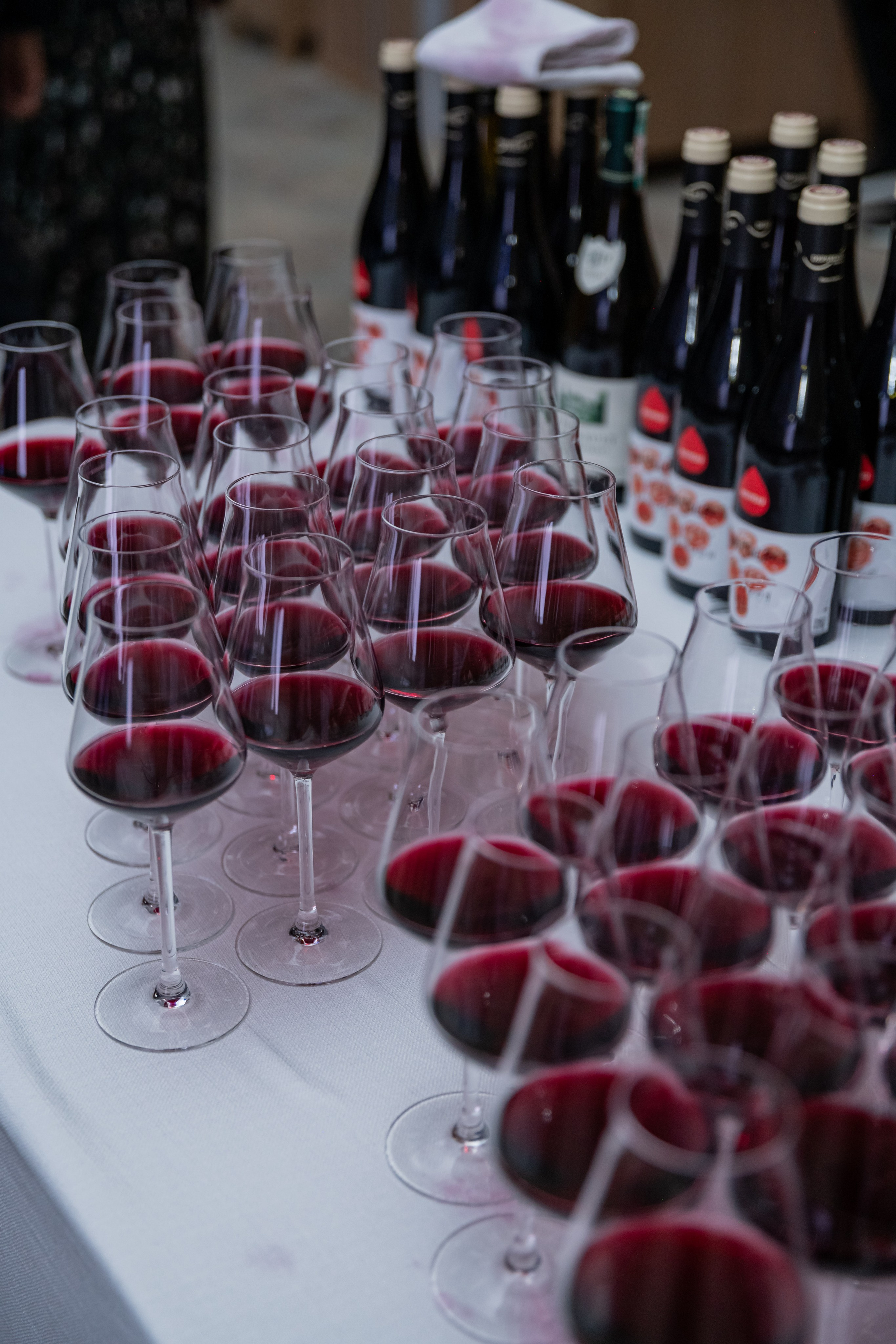 Beaujolais Nouveau 2025. Фотограф Астана, Алматы