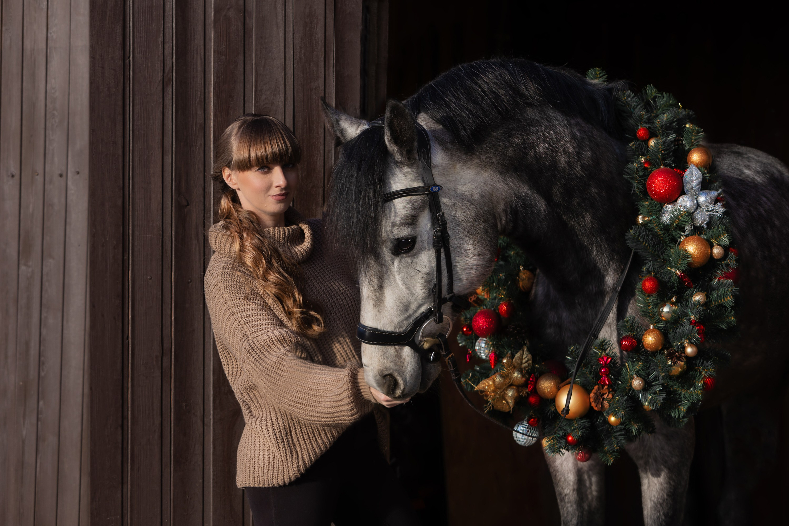 Фотосессии с лошадьми. Главная