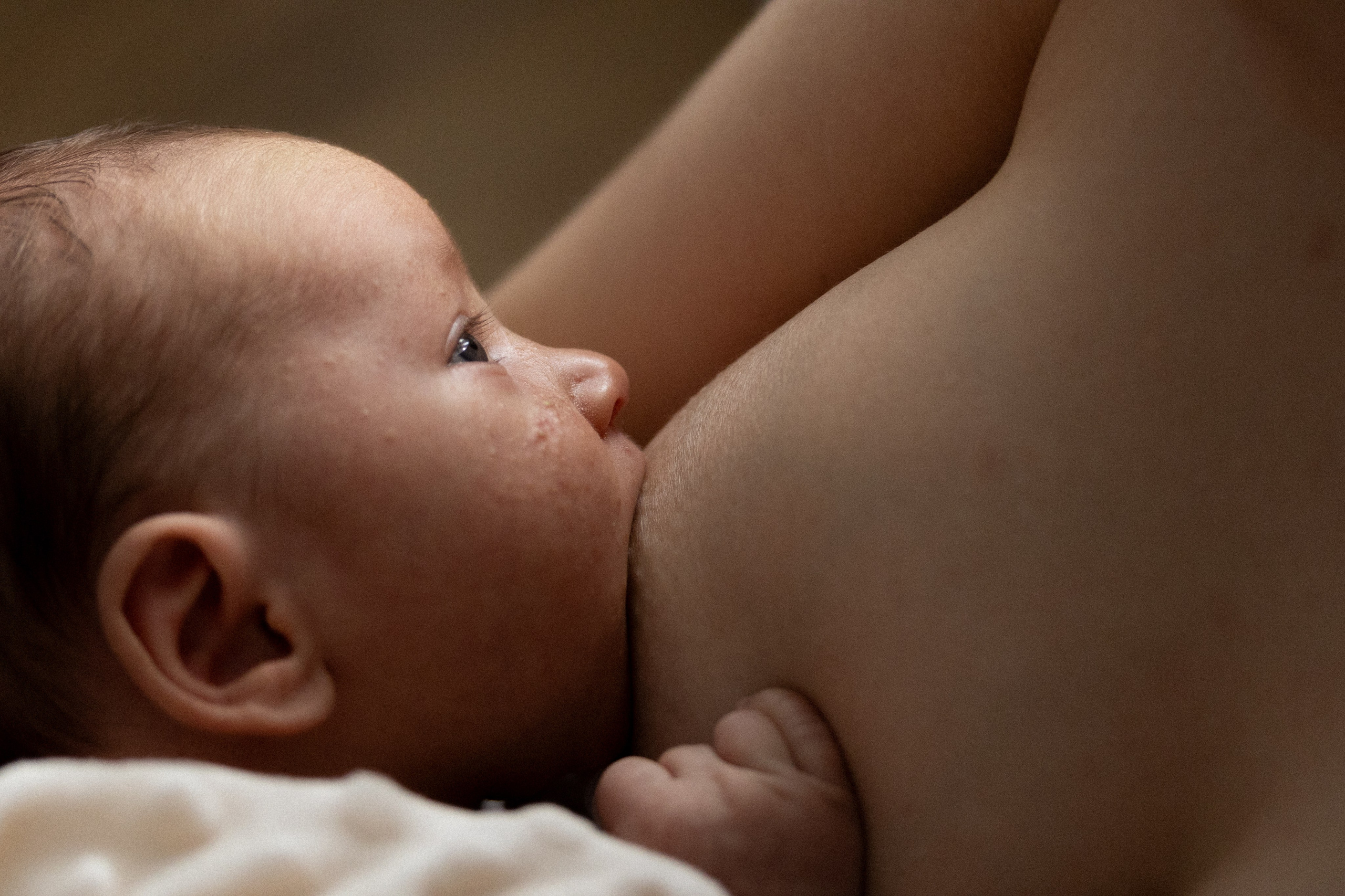 Саша, Рома и Костя. Свадебный фотограф | Москва