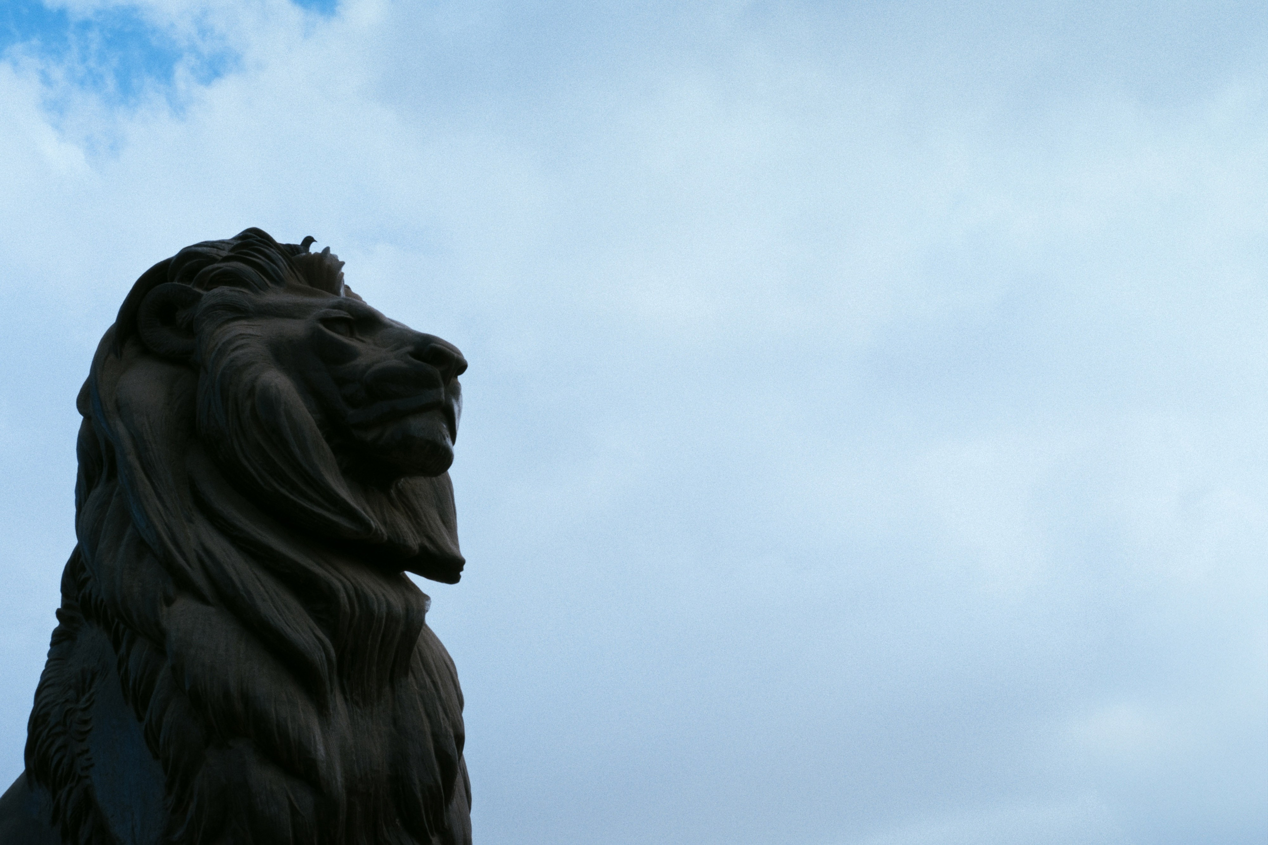 Cairo / Egypt AW25. Фотограф Юрин Евгений