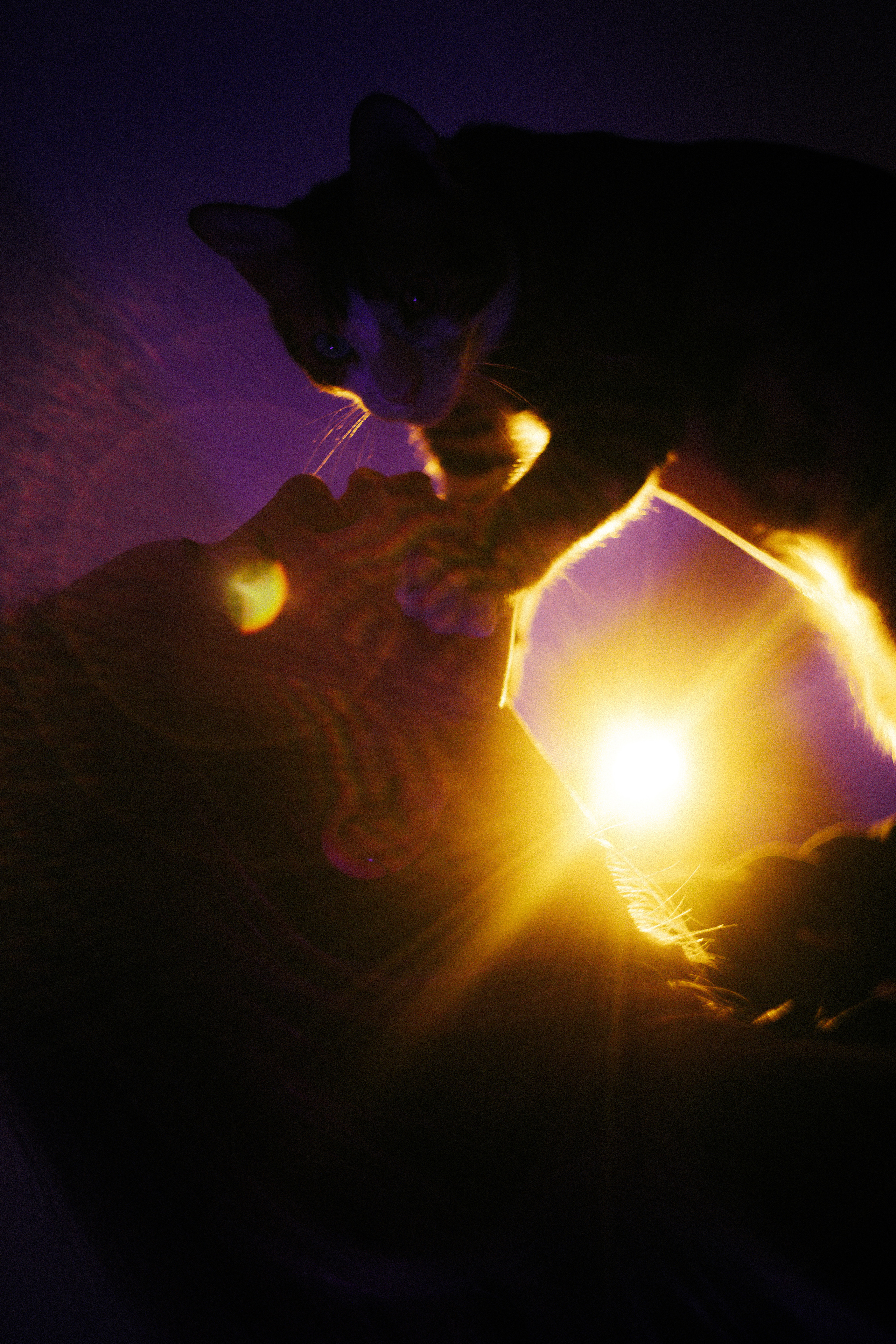 Творчество. LPSHLIZ (Лиза Лапша)