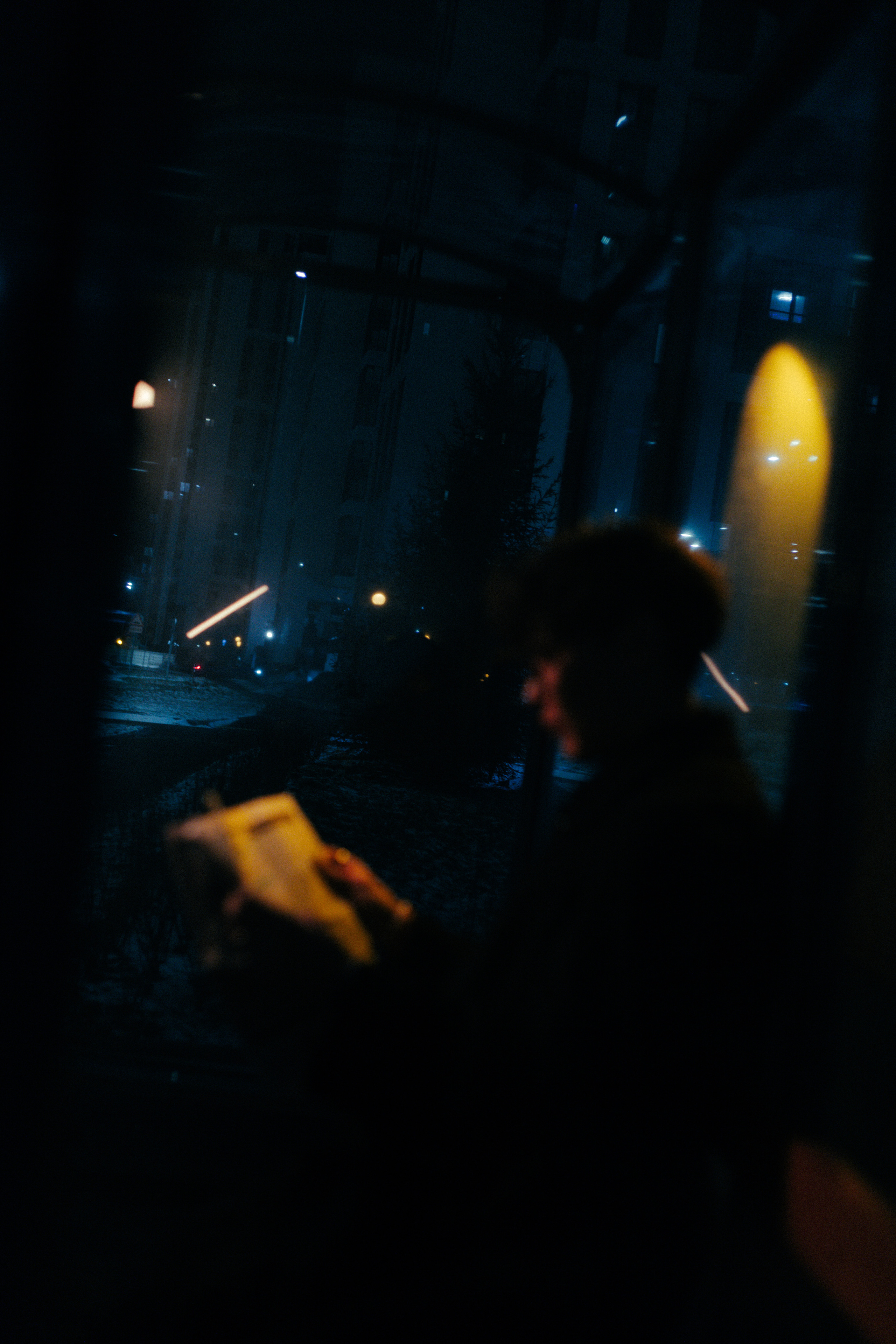 Творчество. LPSHLIZ (Лиза Лапша)