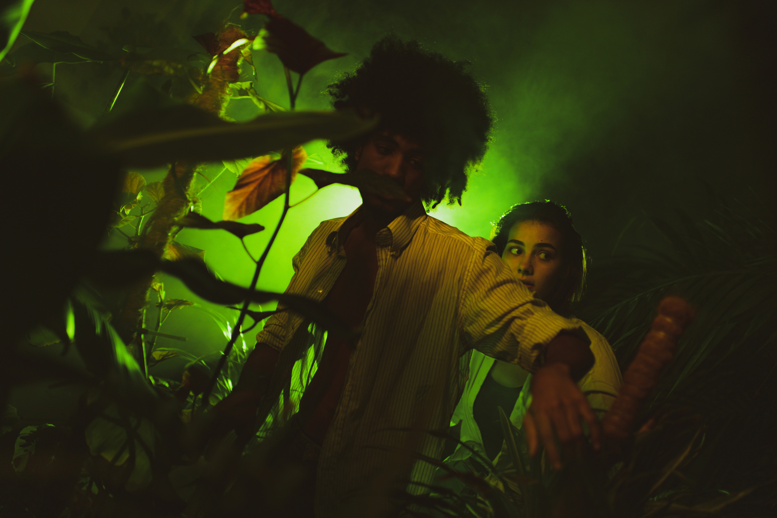 Творчество. LPSHLIZ (Лиза Лапша)