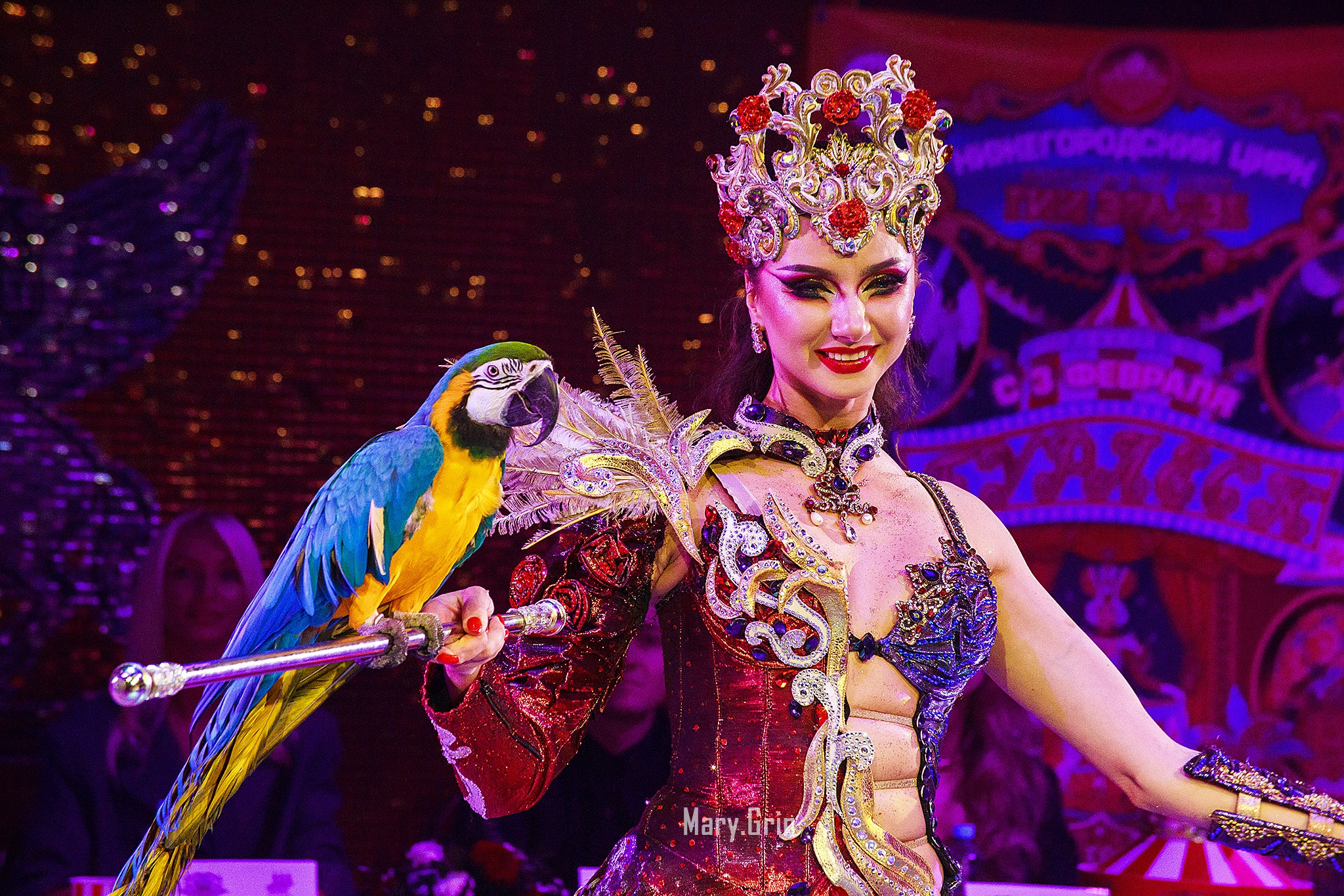 Цирк Гии Эрадзе. Детский и семейный фотограф, фотограф мероприятий Нижний Новгород