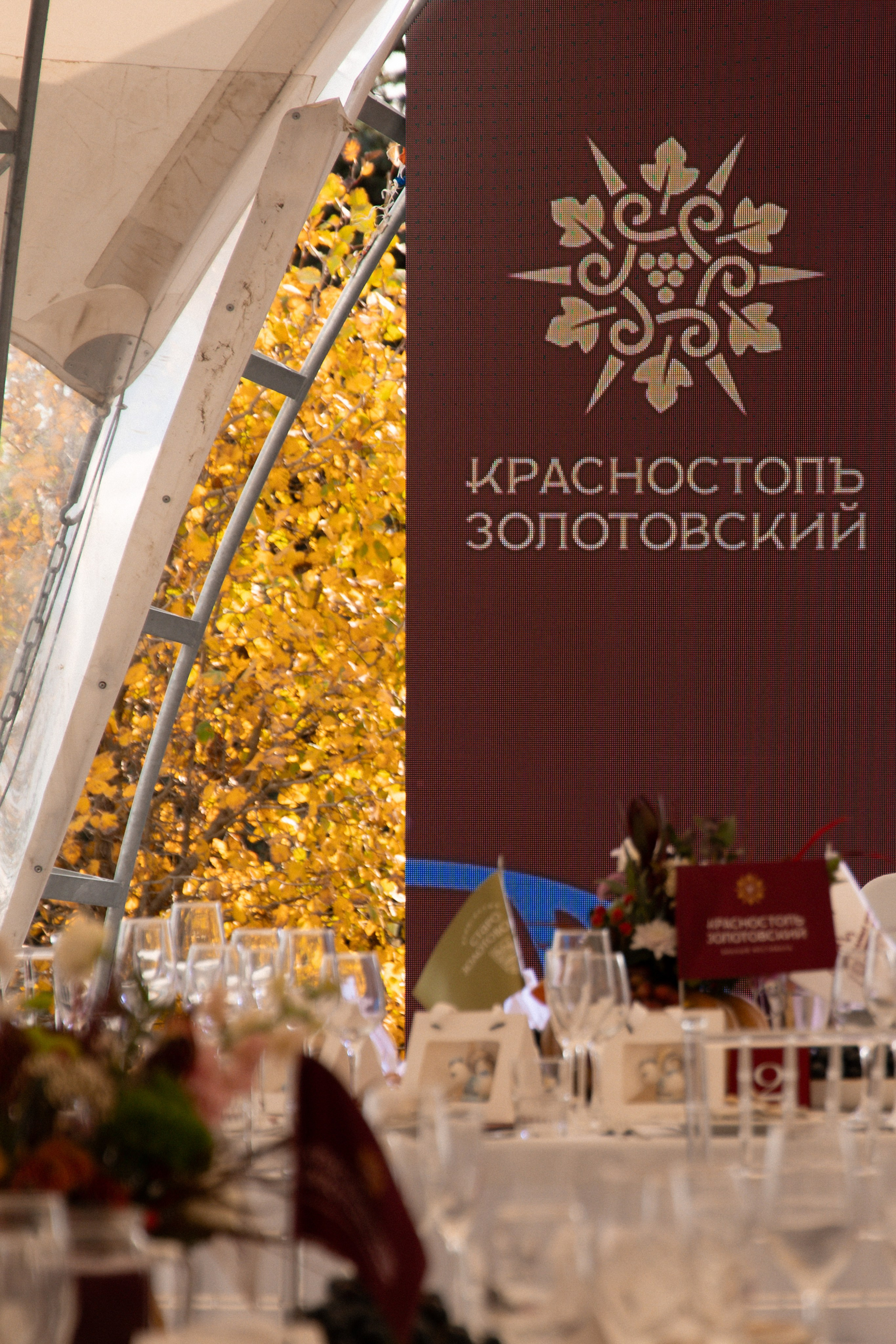 «Красностопъ Золотовский» третий винный фестиваль. Анна Рышкевич