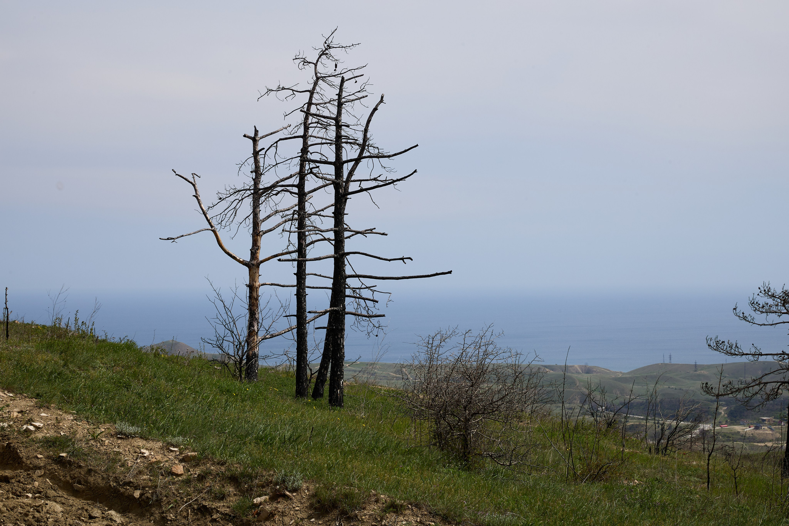 КРЫМ. Репортажный и мужской фотограф в Краснодаре. Фотограф в Краснодаре