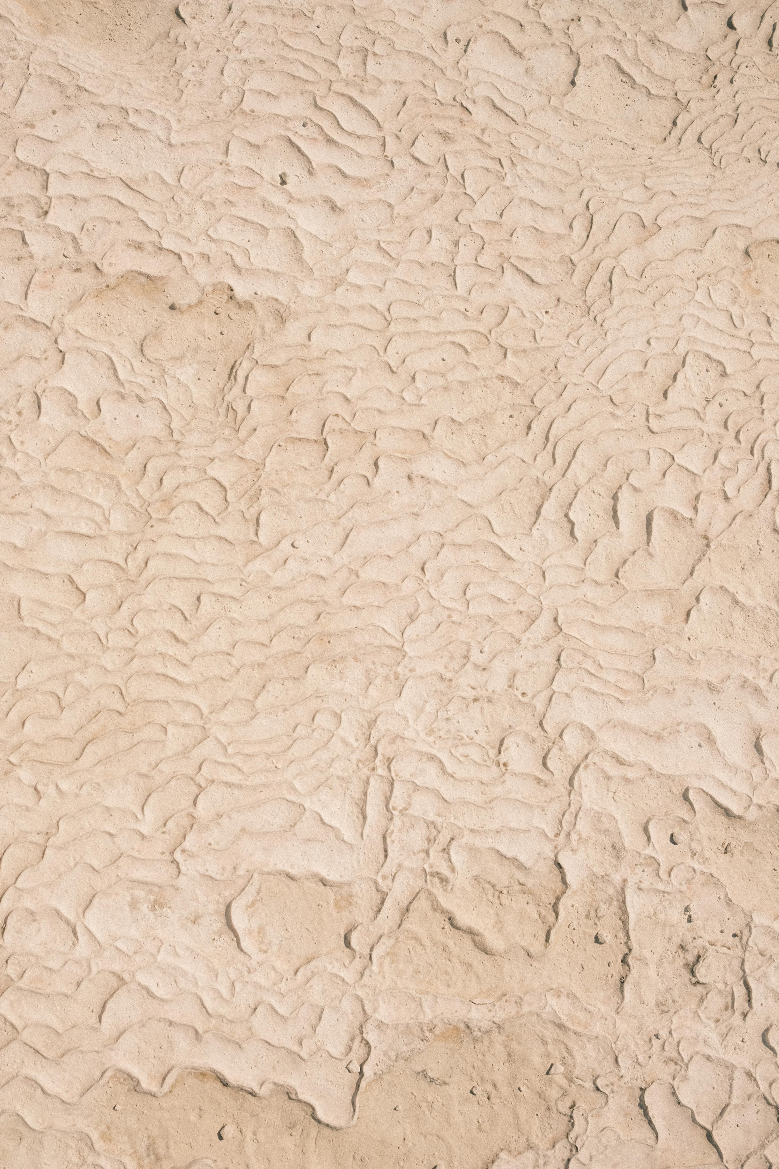 Молчание. Портретный фотограф