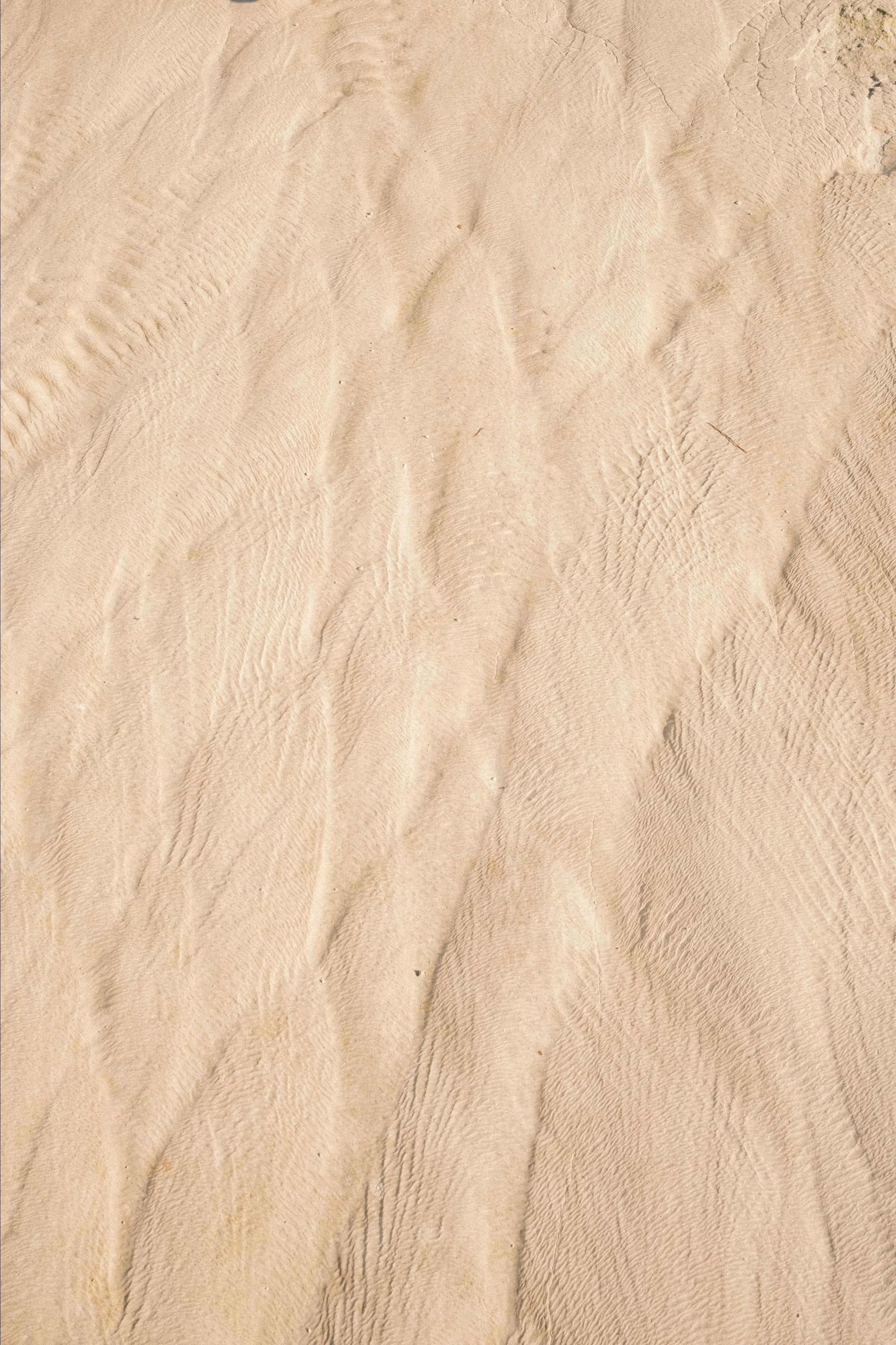 Молчание. Портретный фотограф