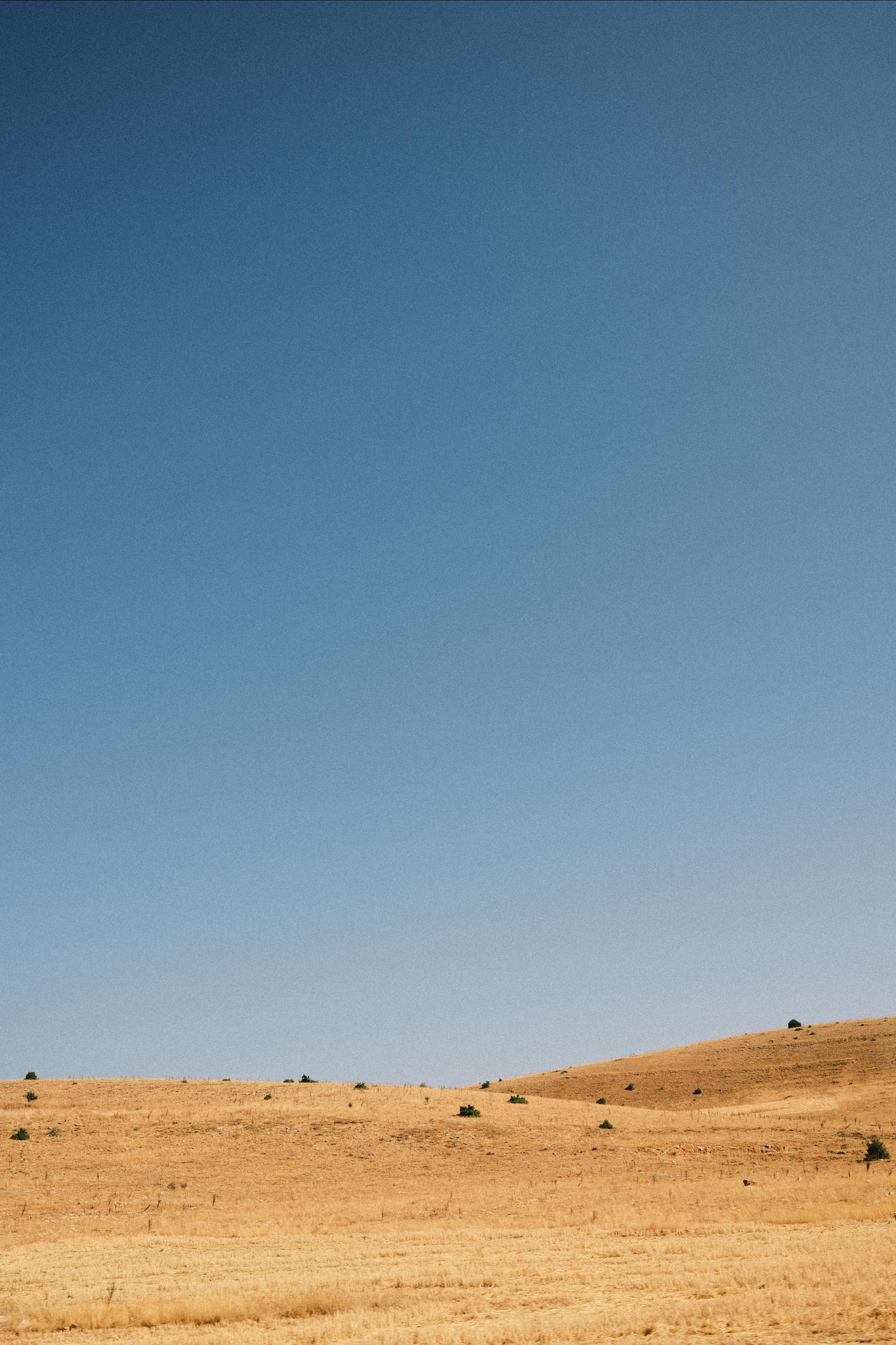 Молчание. Портретный фотограф