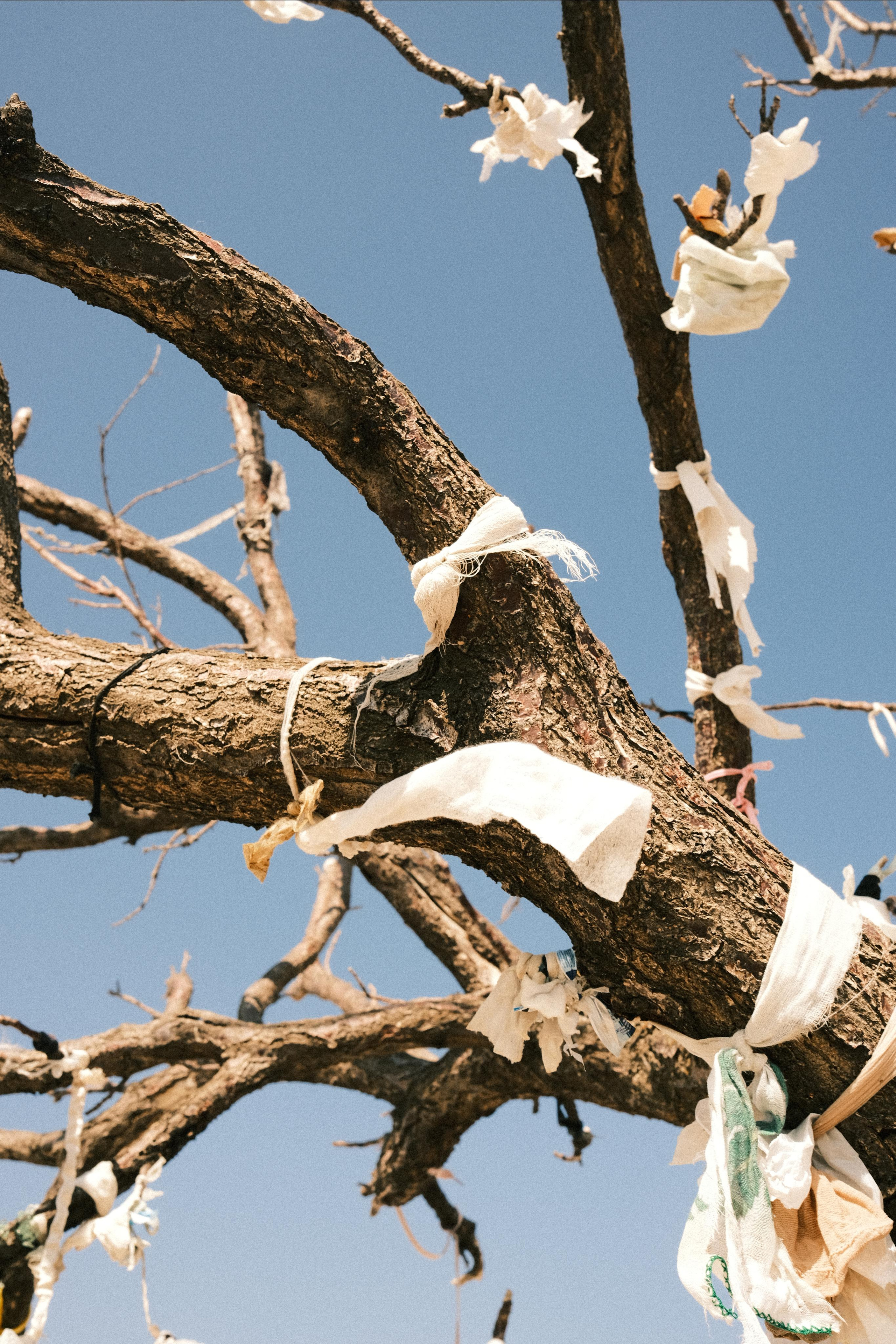 Молчание. Портретный фотограф