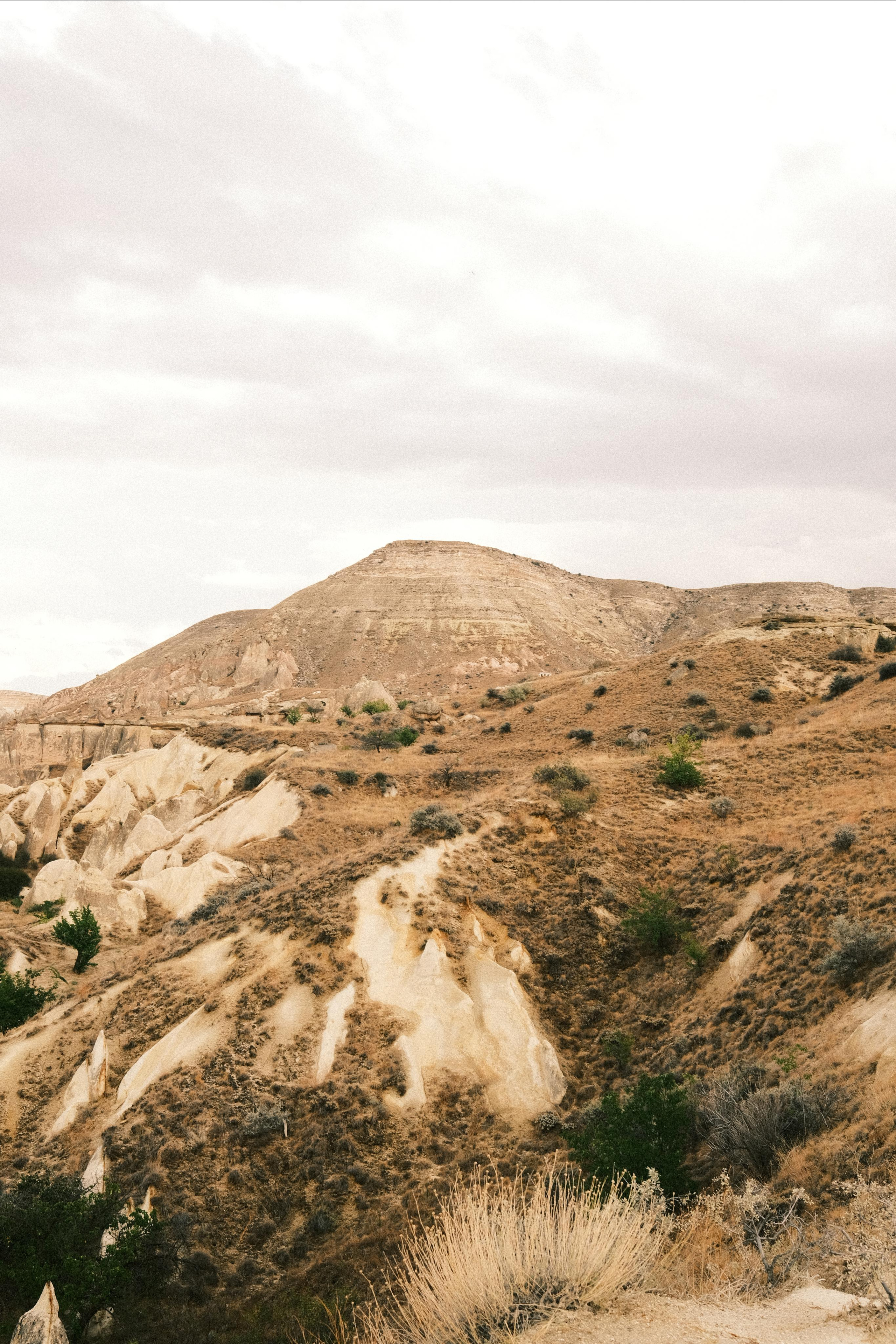 Молчание. Портретный фотограф