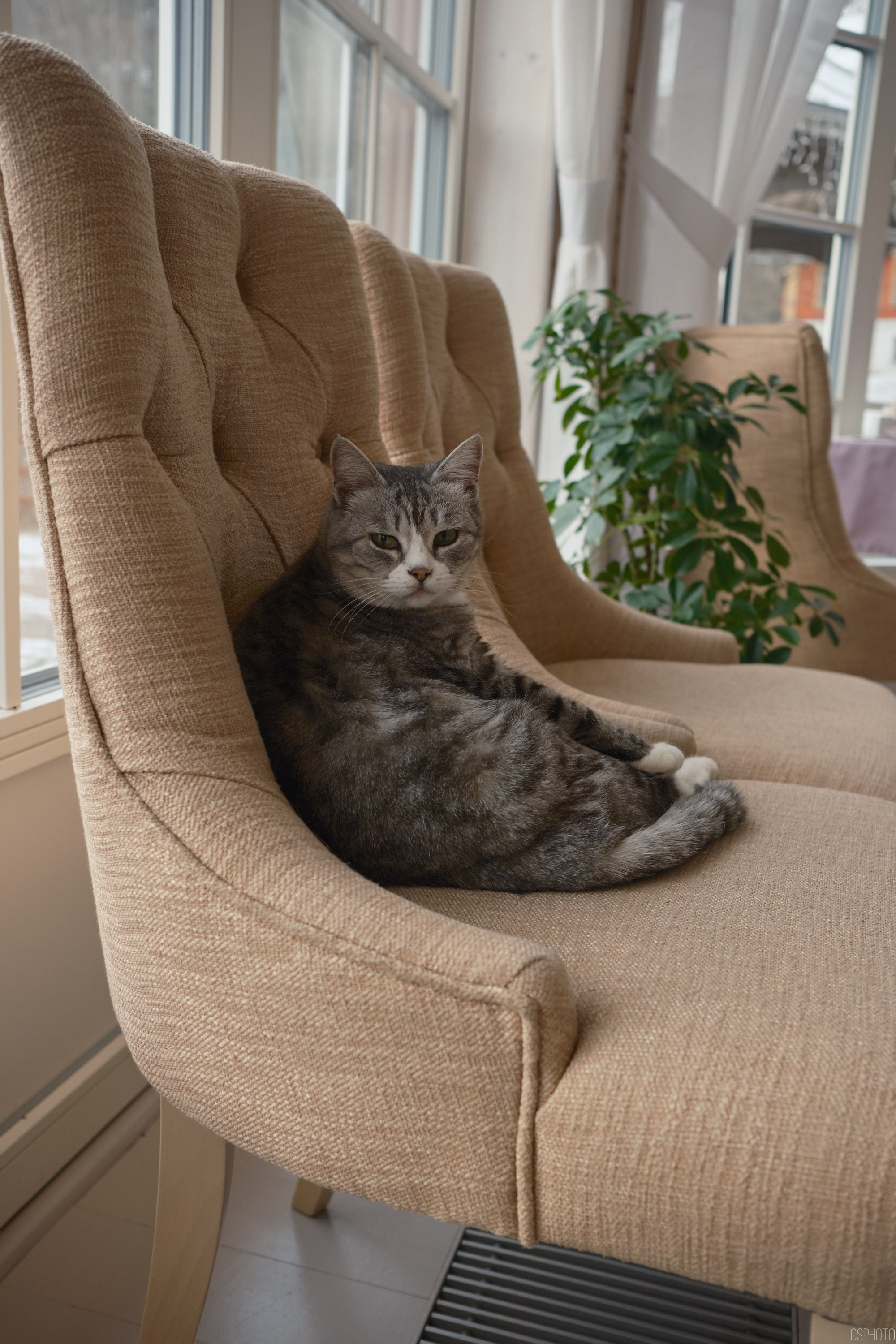 Плёс. Волга. Март. Фотографъ Сергѣевъ. Поймать мгновеніе