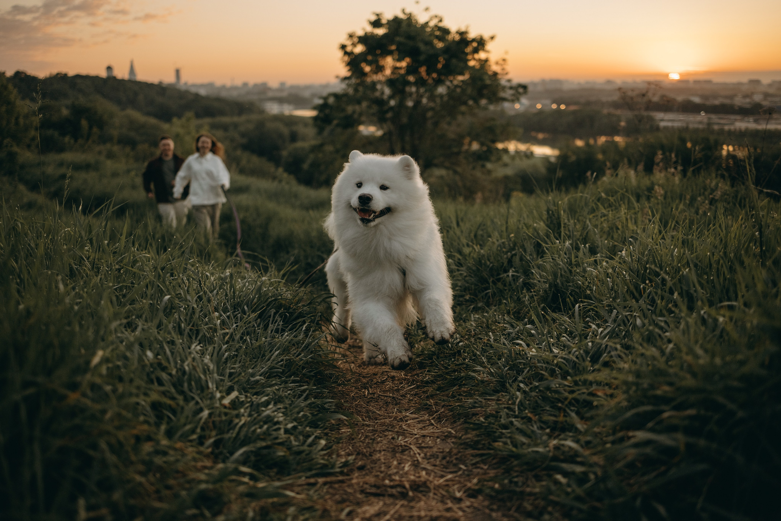 Танго и его семья. Фотограф — Анималист | Санкт-Петербург
